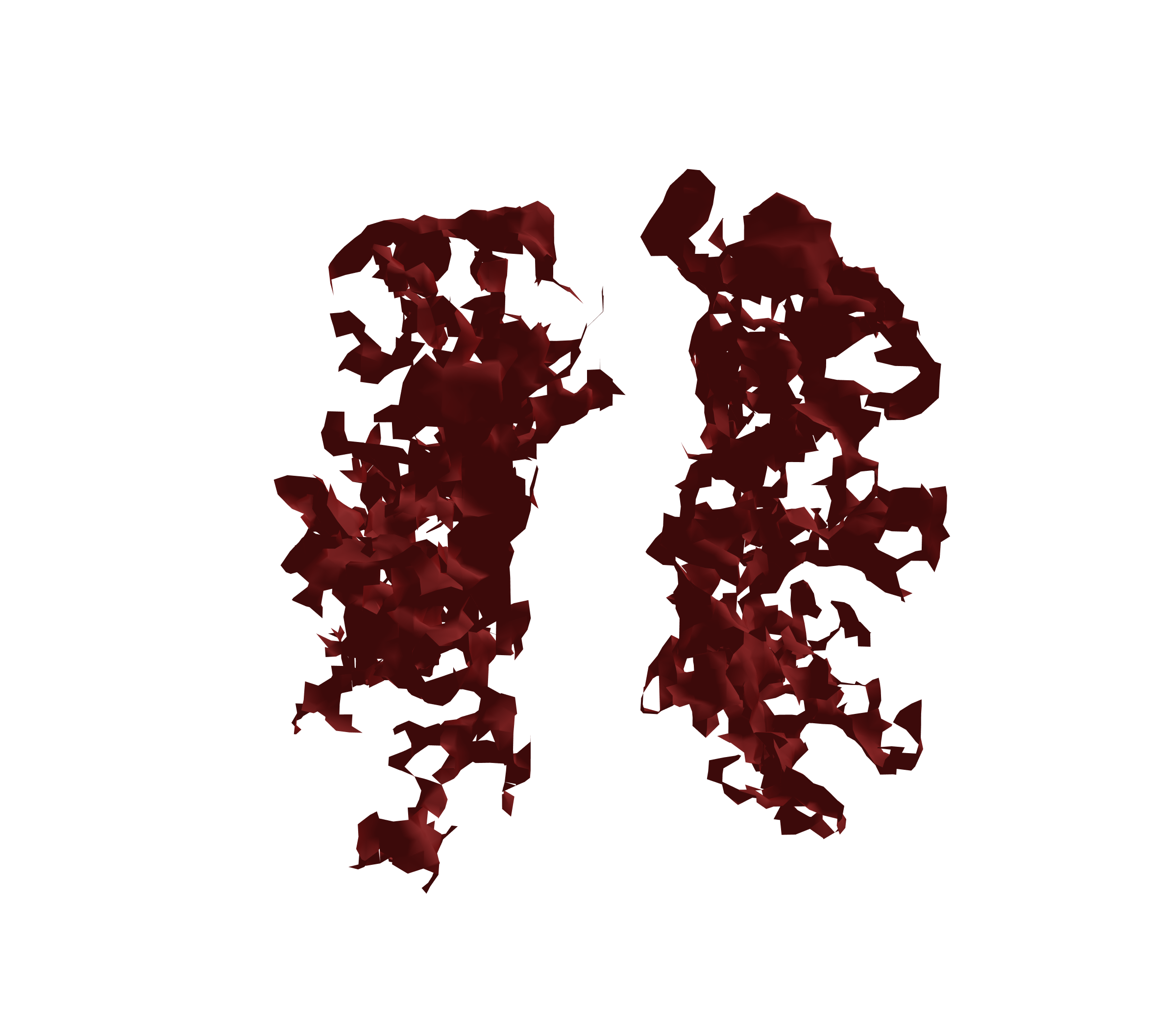 Surface Mesh (Expiration) - Front View