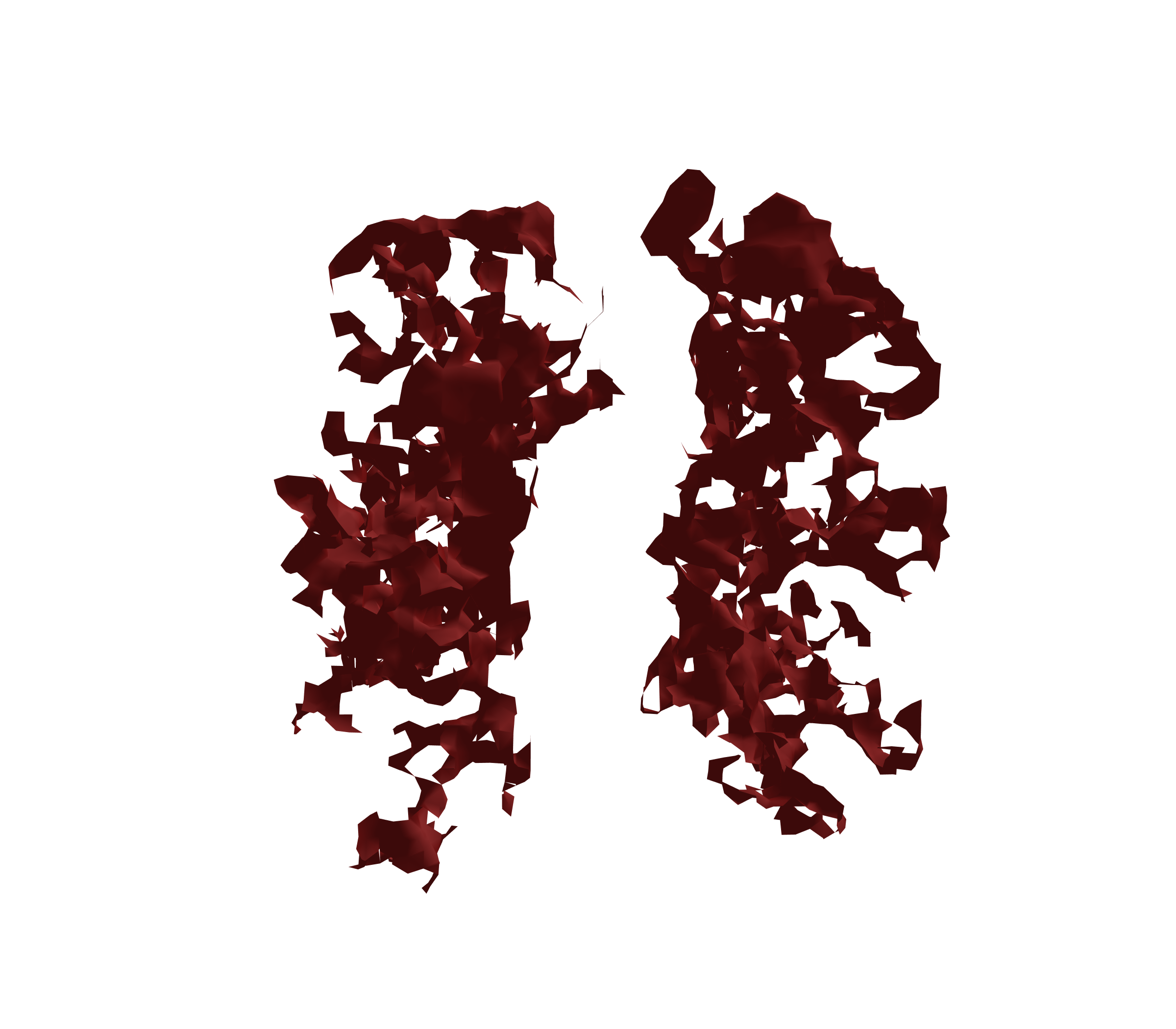 Surface Mesh (Expiration) - Front View