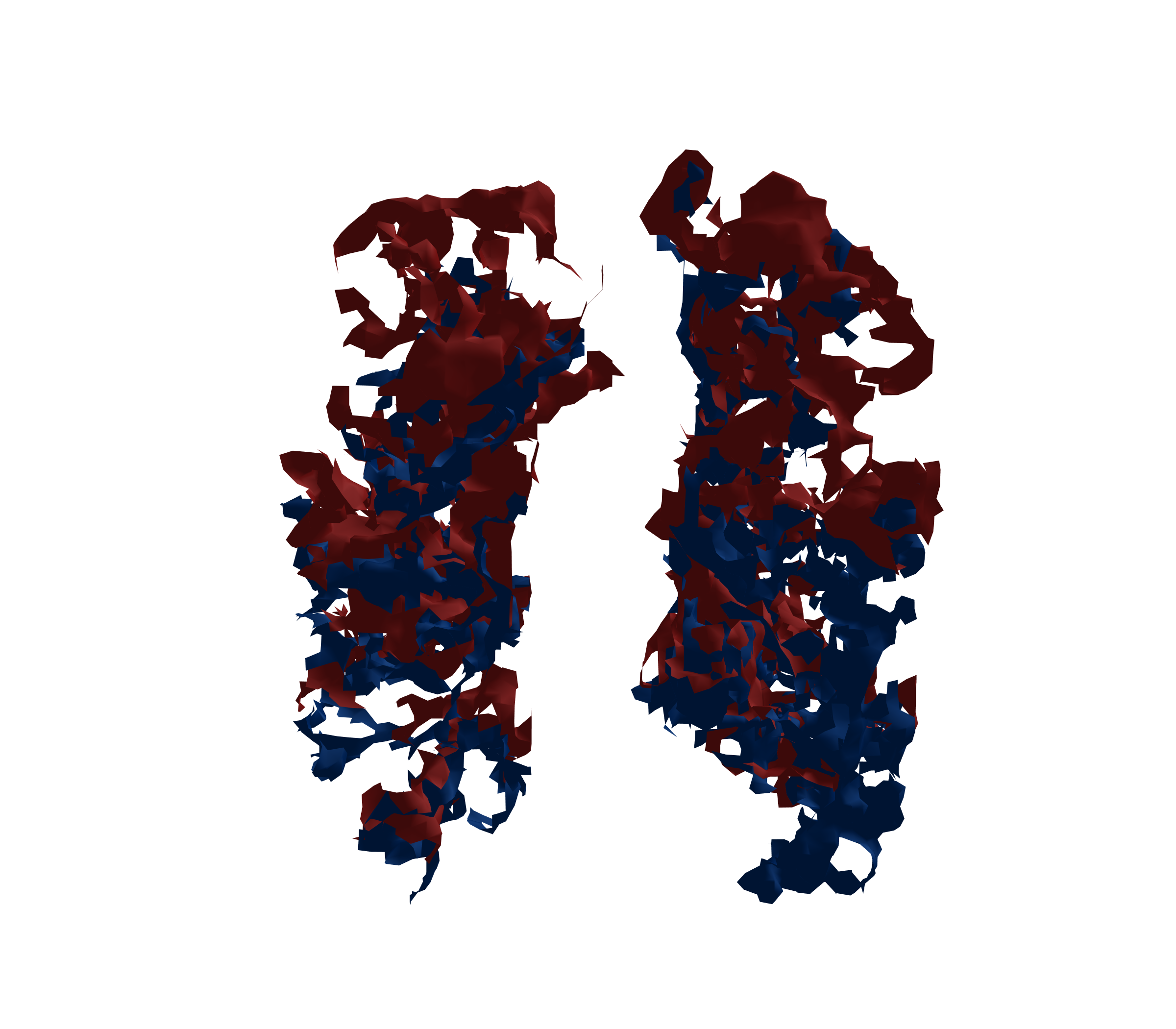 Surface Mesh - Front View