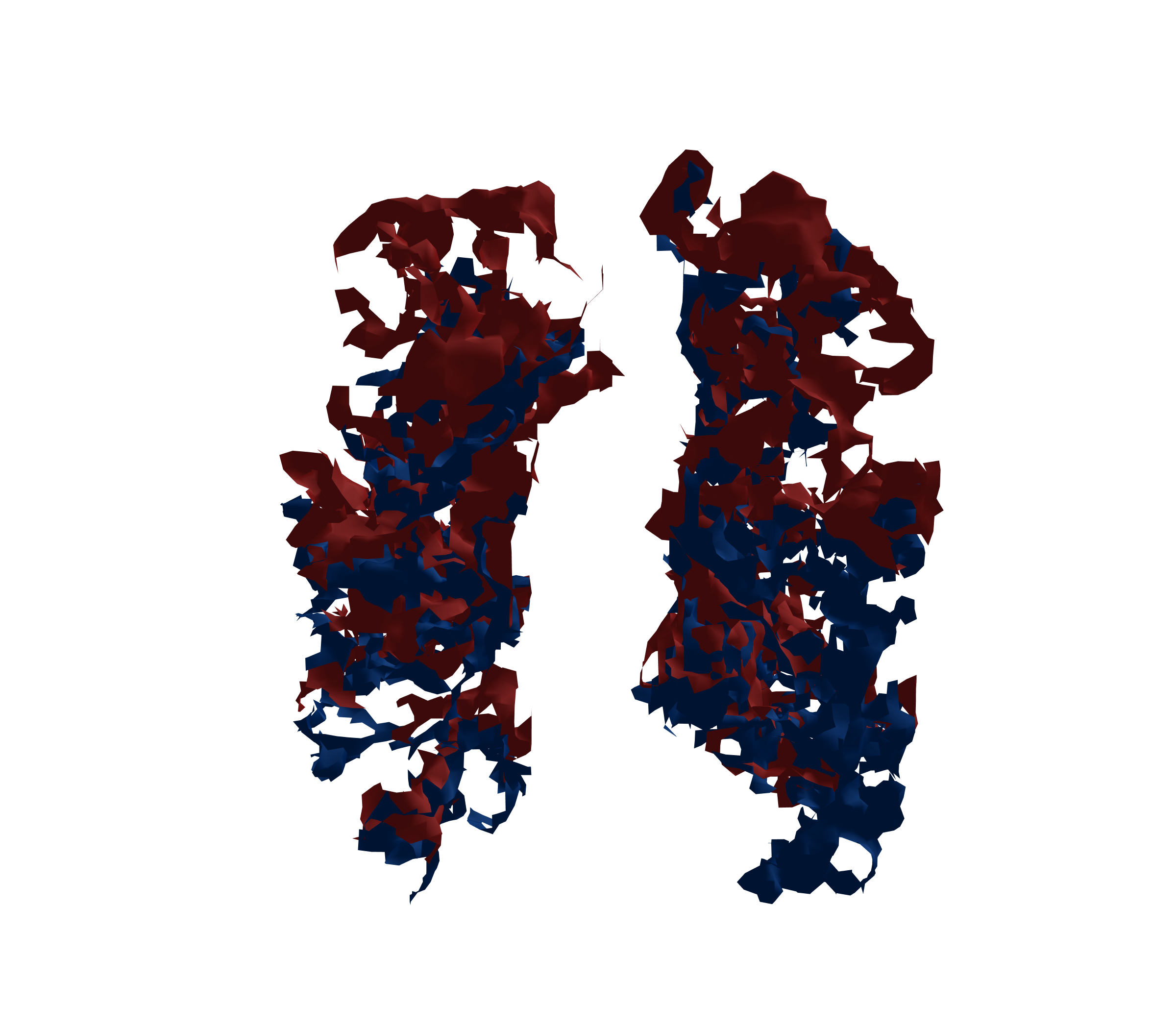 Surface Mesh - Front View