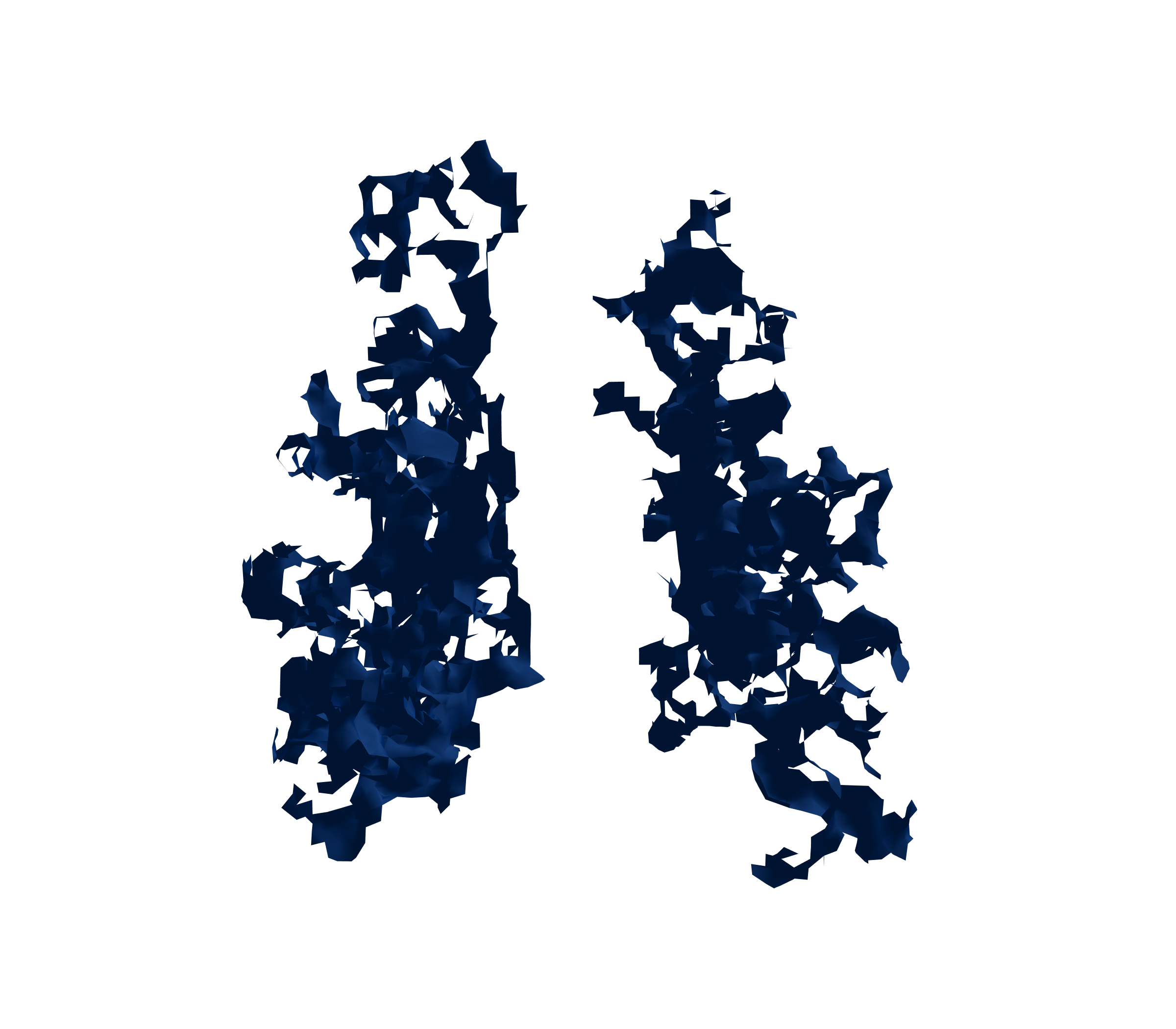 Surface Mesh (Inspiration) - Back View