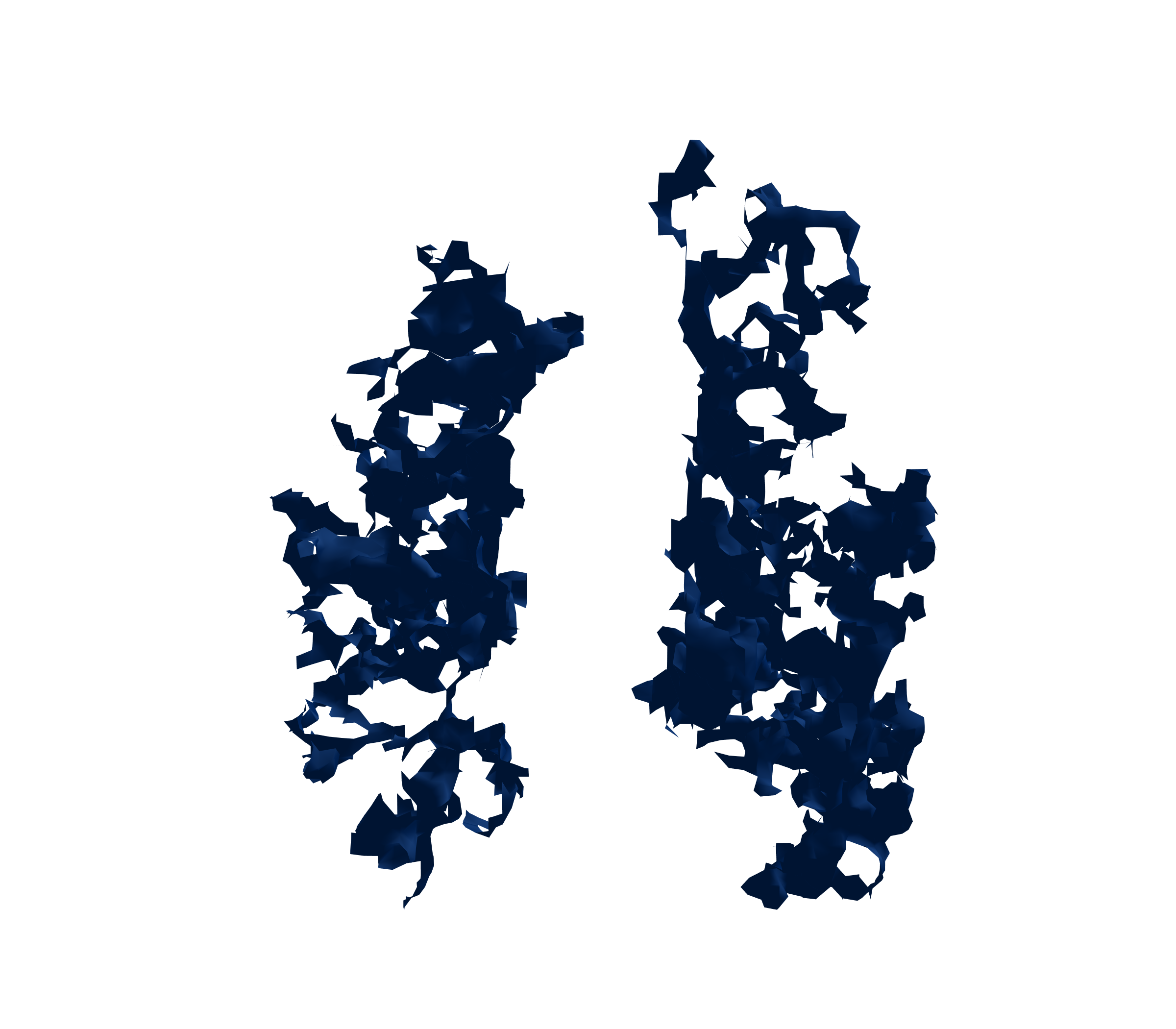 Surface Mesh (Inspiration) - Front View