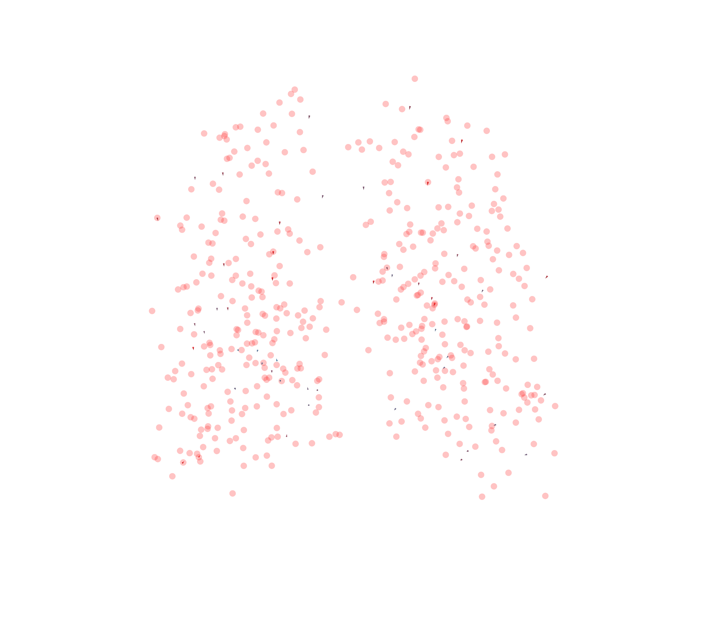 Displacement Vectors - Back View