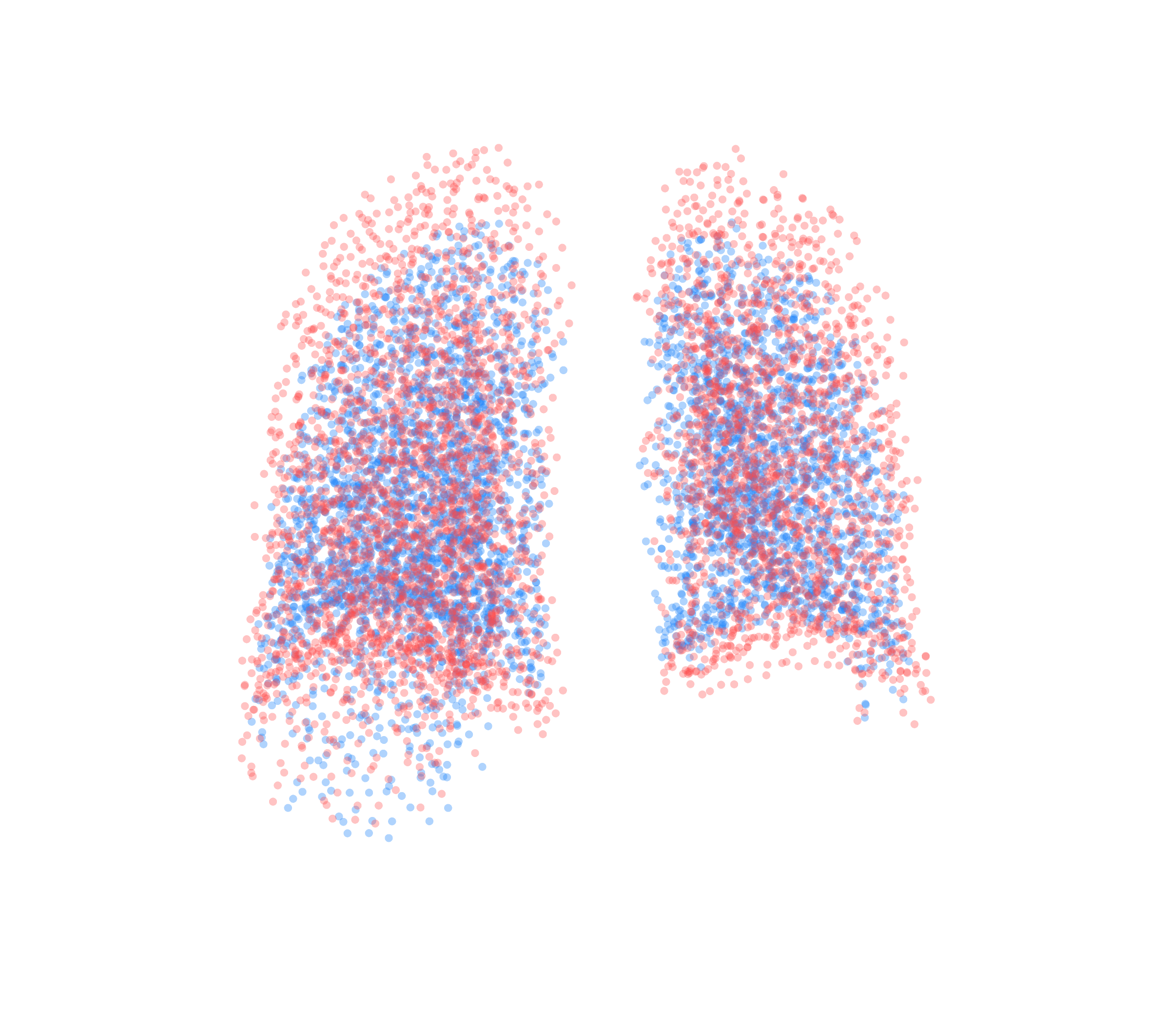 Point Cloud - Back View