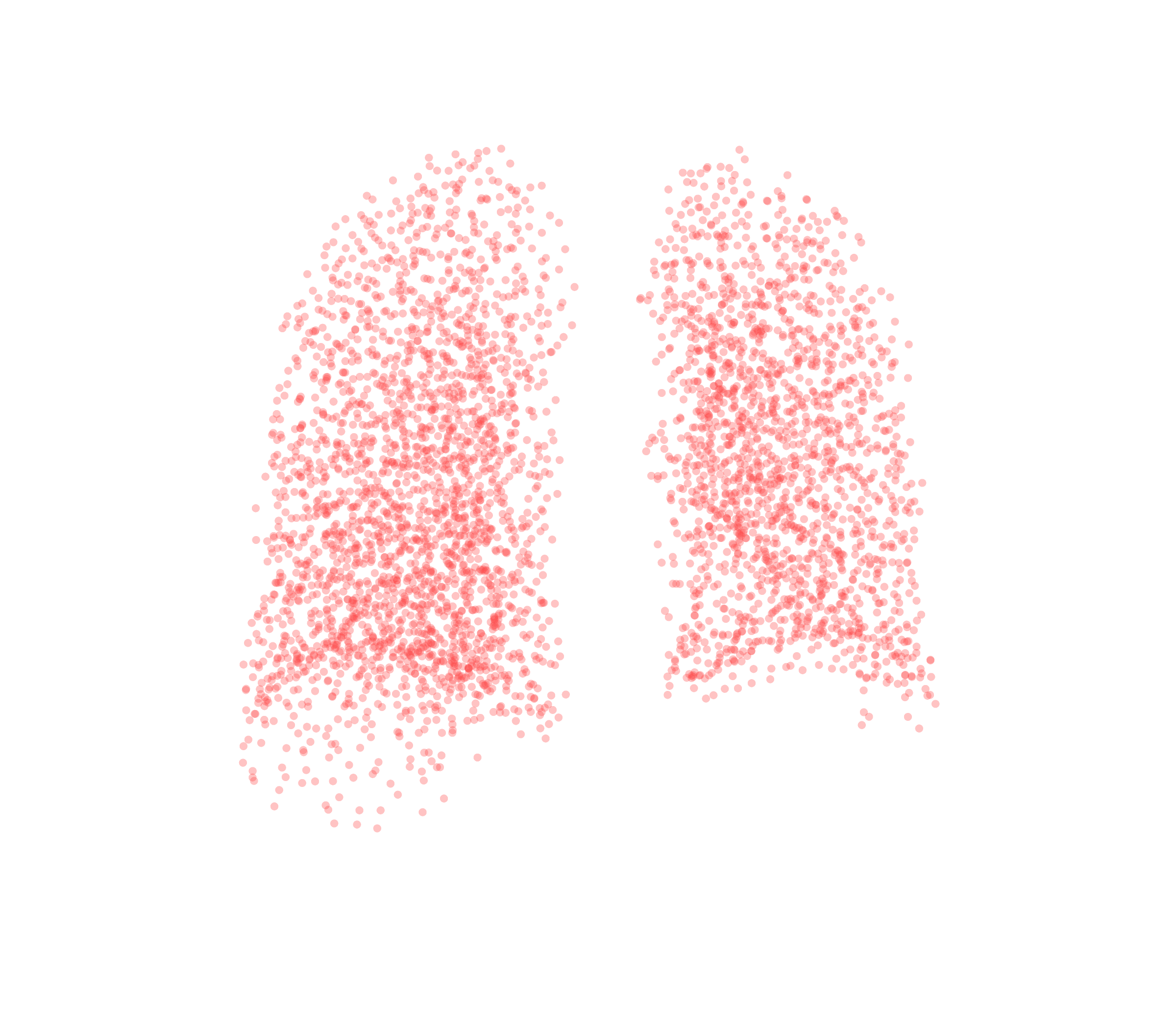 Point Cloud (Expiration) - Back View