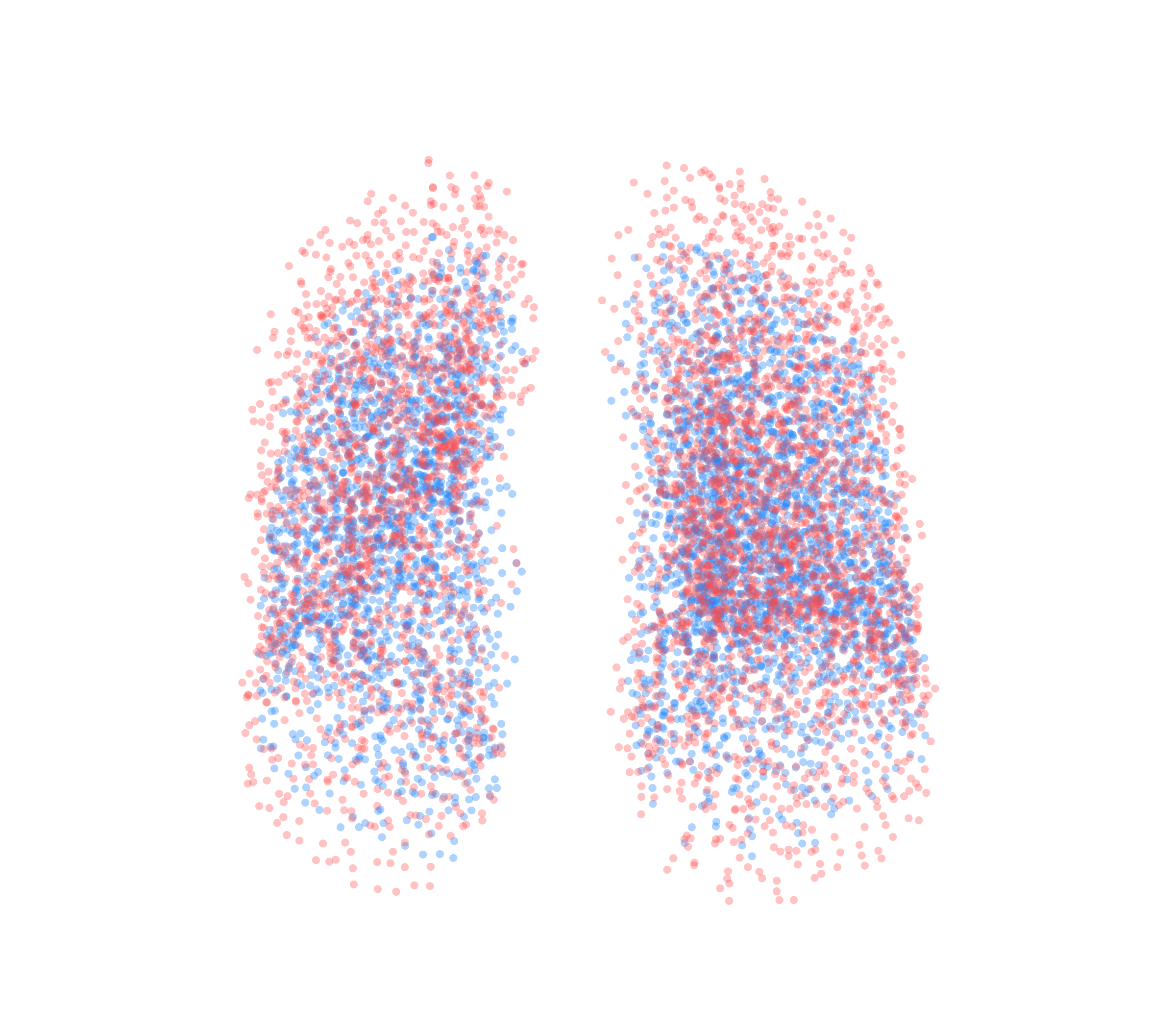 Point Cloud - Front View