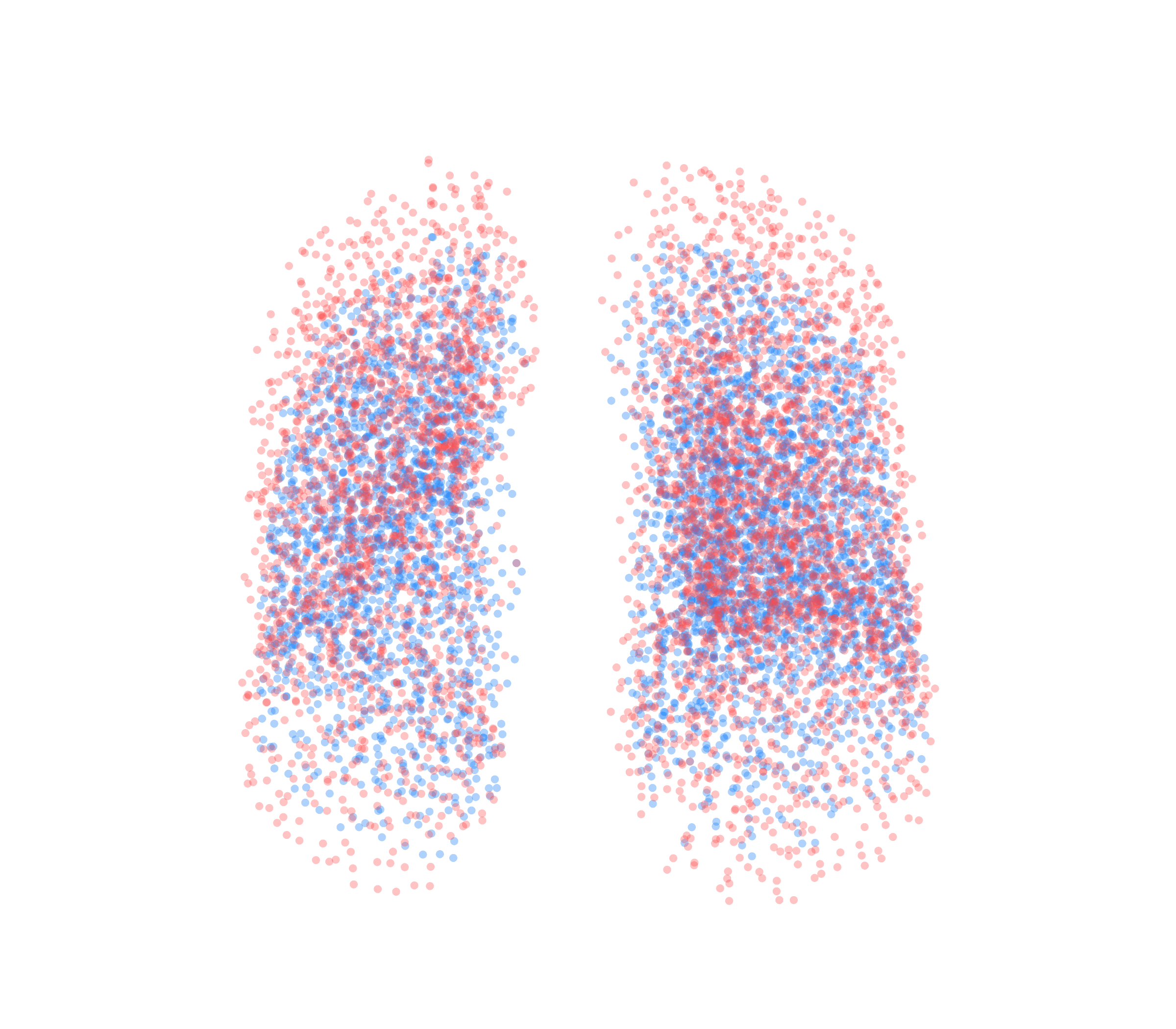 Point Cloud - Front View