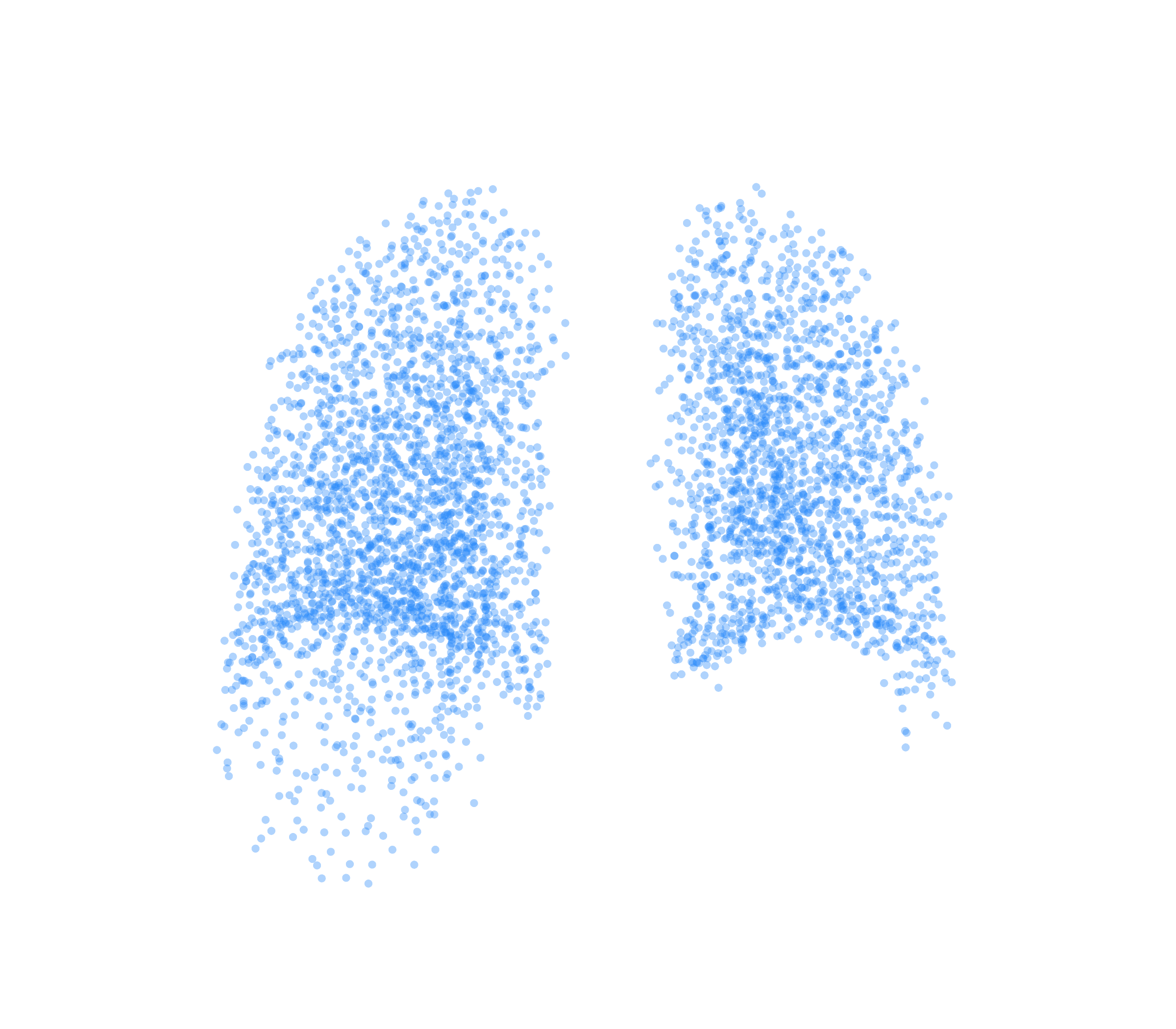 Point Cloud (Inspiration) - Back View