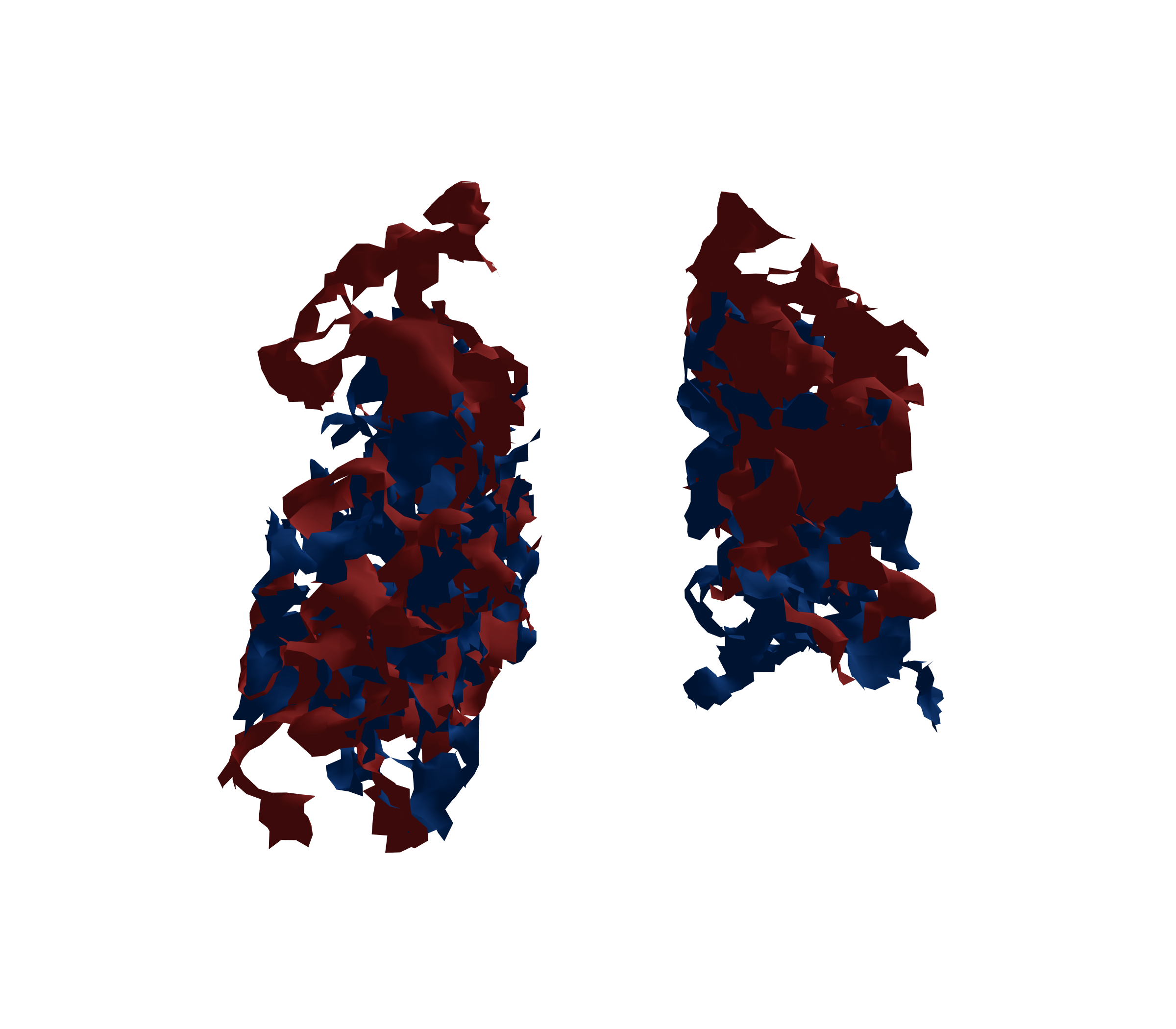 Surface Mesh - Back View