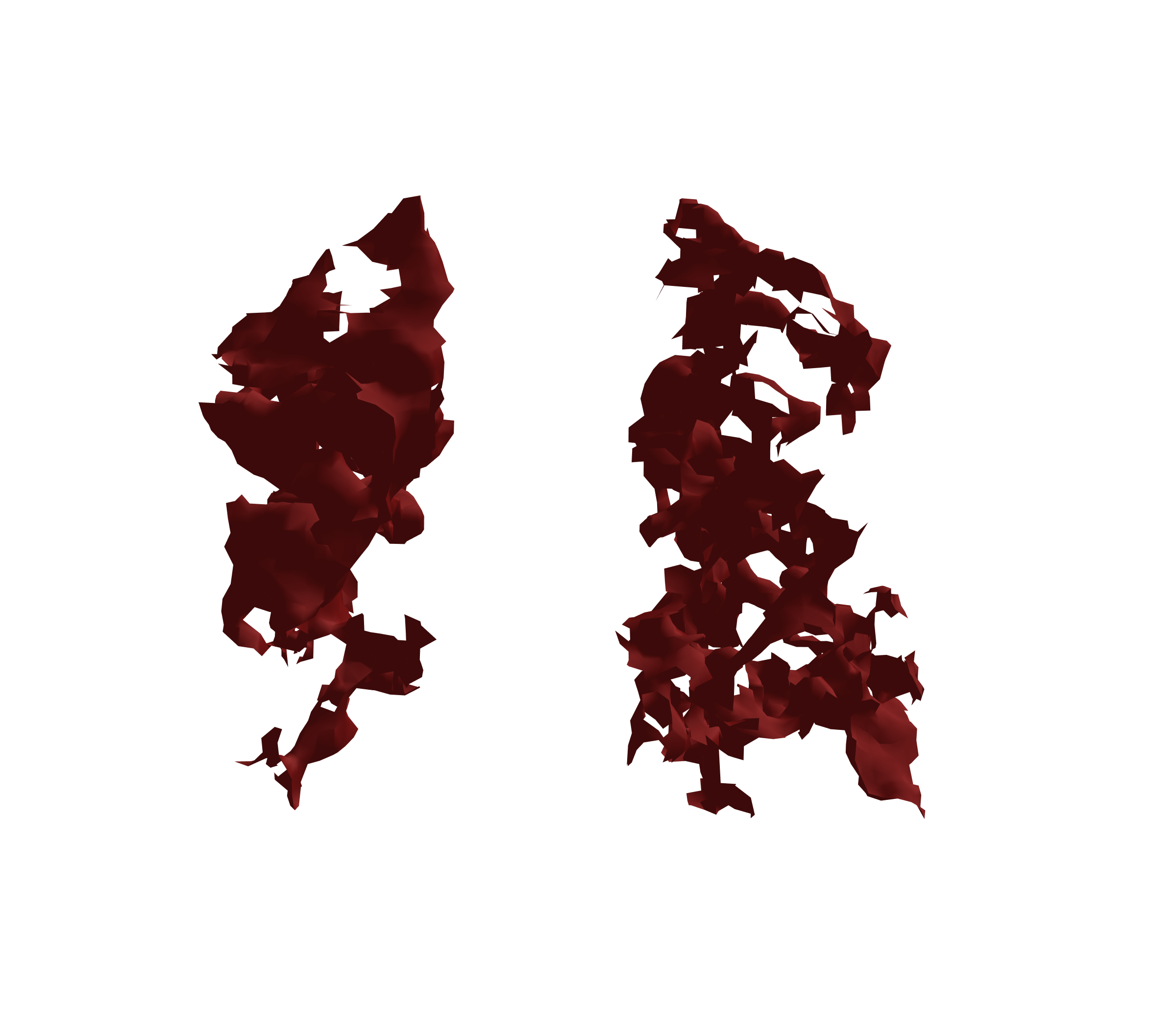 Surface Mesh (Expiration) - Front View