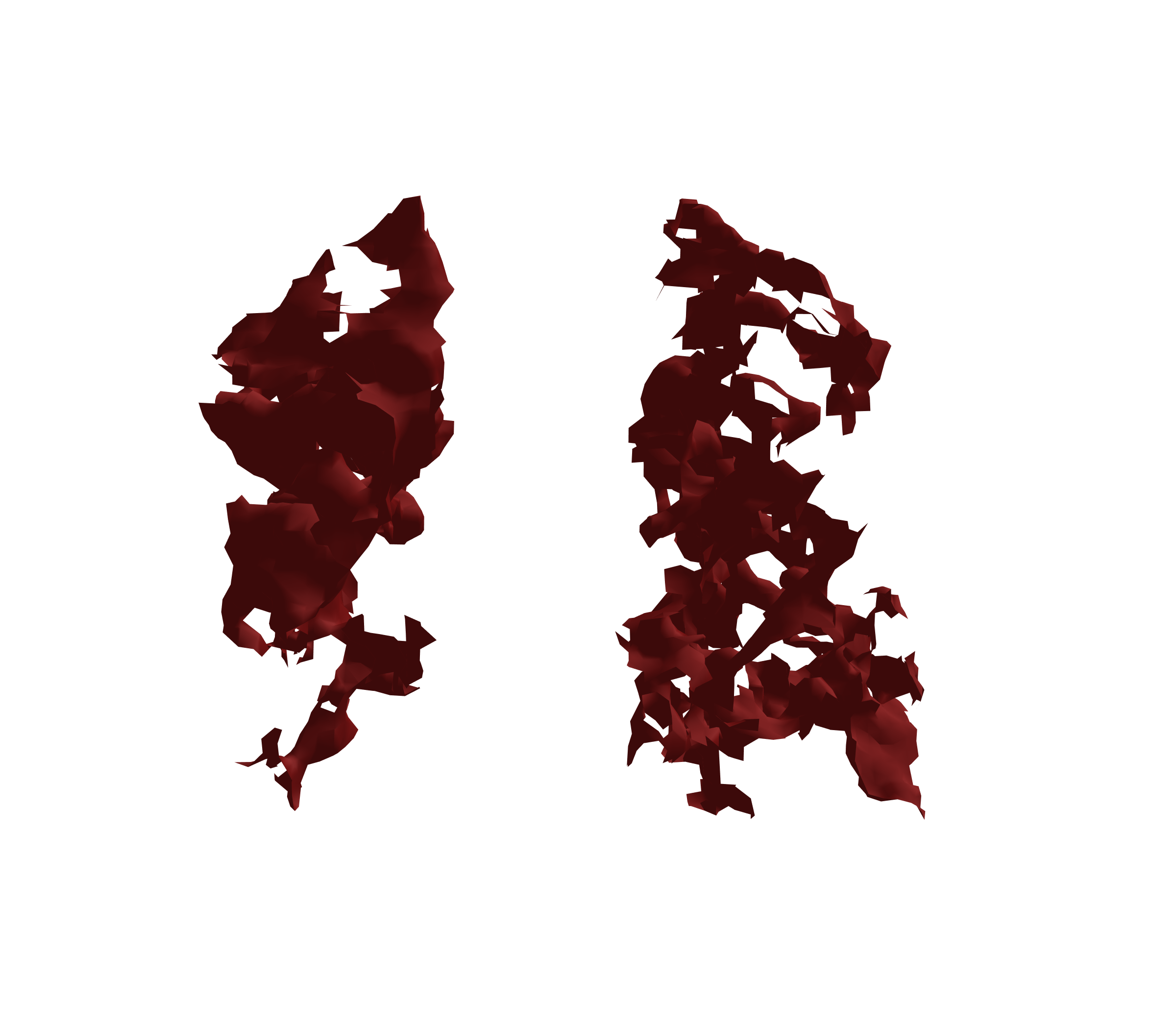 Surface Mesh (Expiration) - Front View