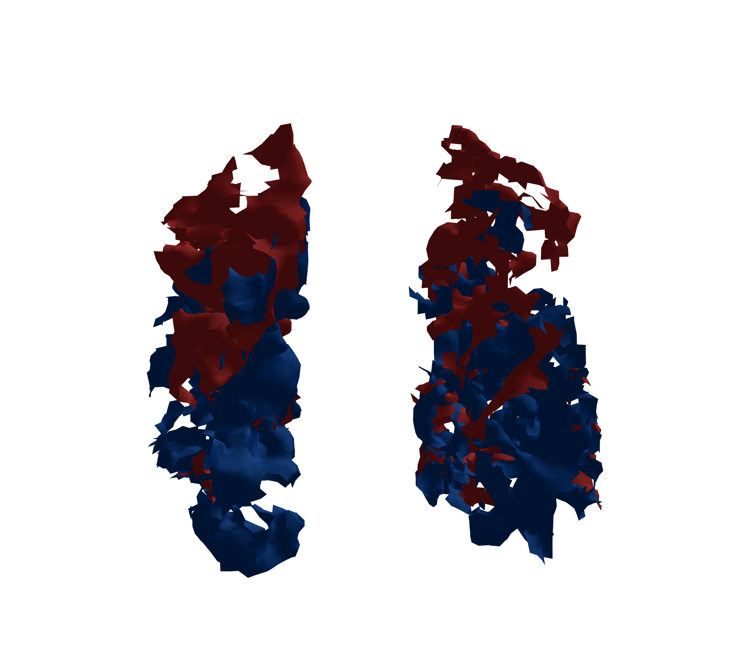 Surface Mesh - Front View