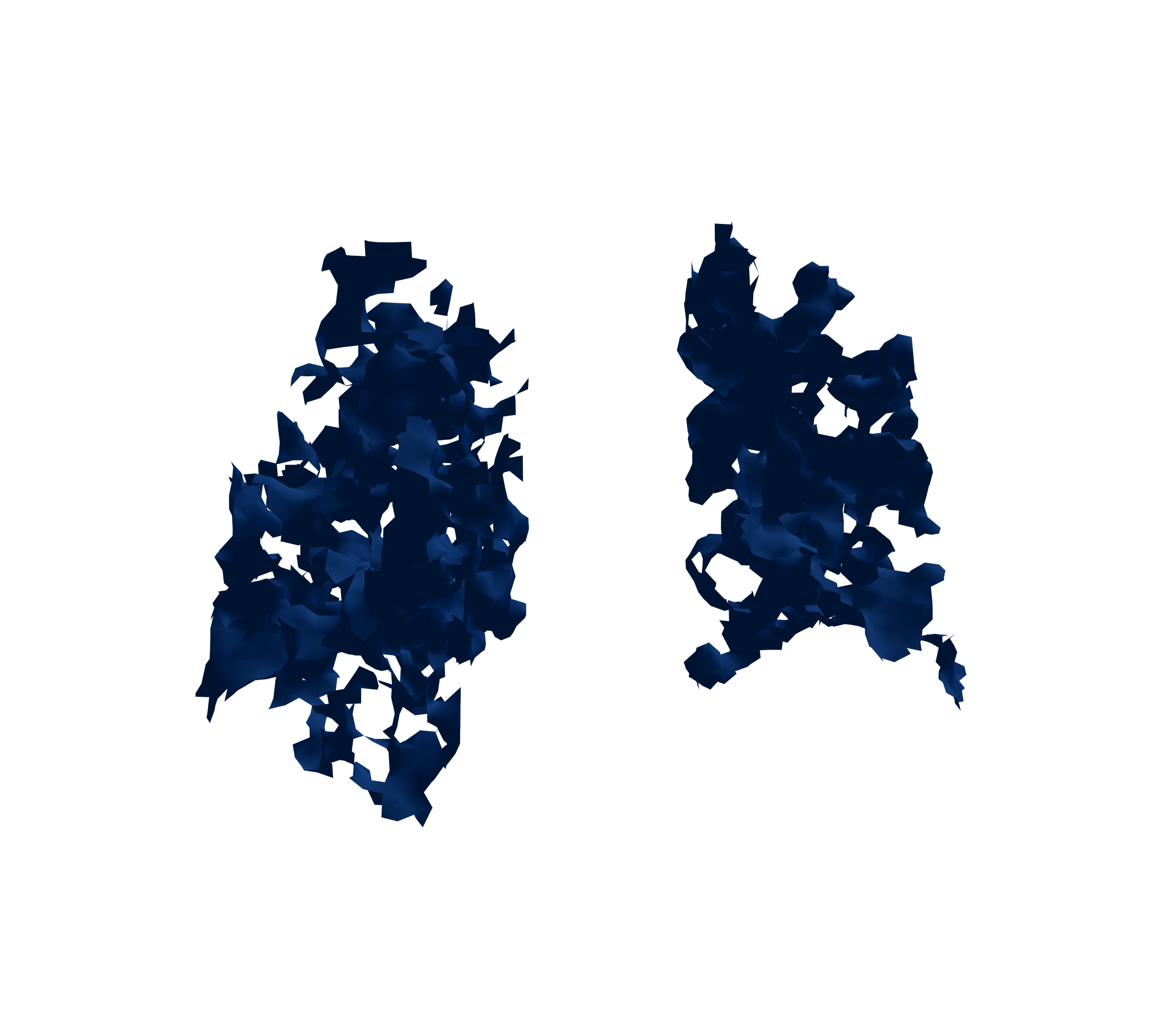 Surface Mesh (Inspiration) - Back View