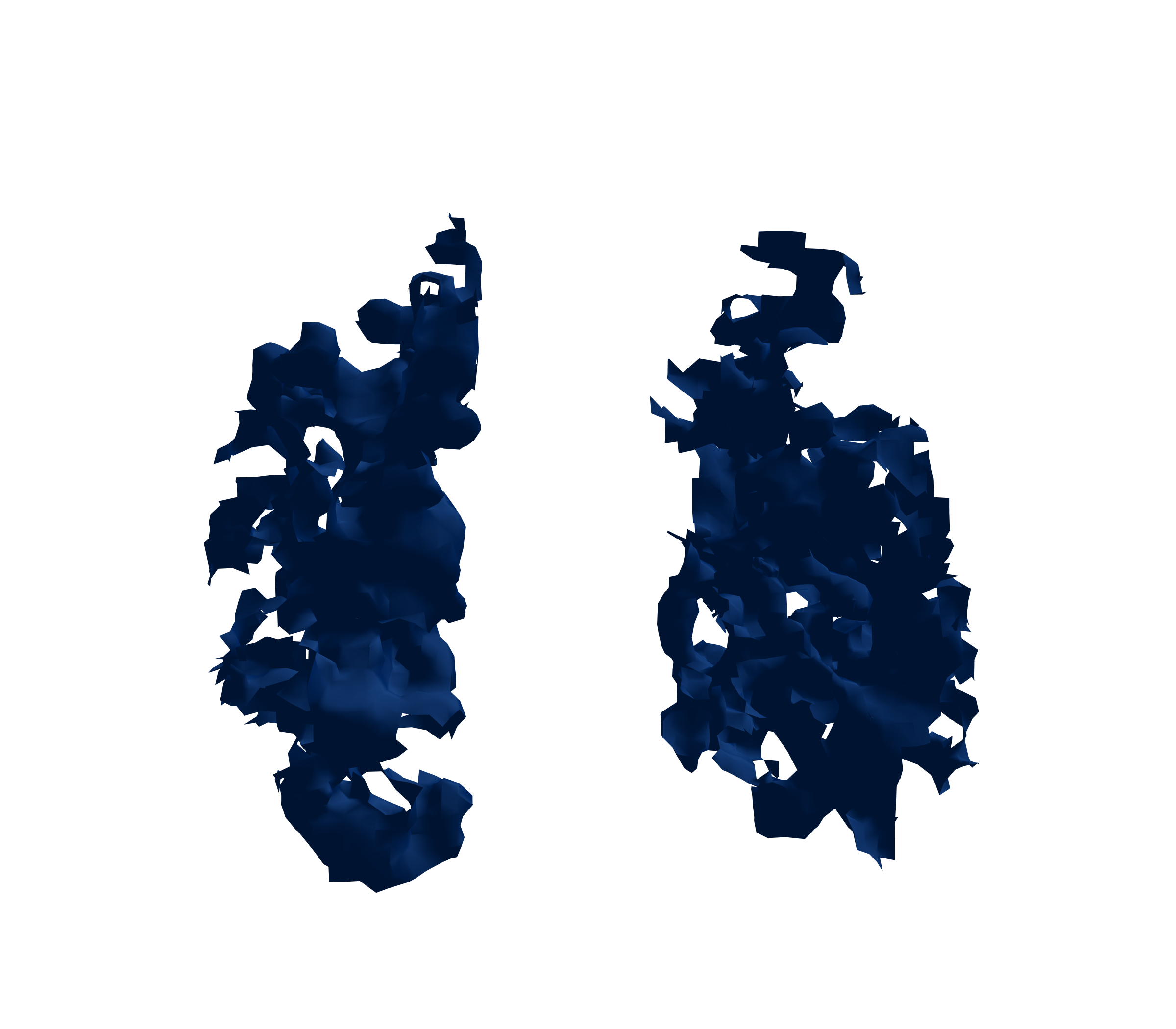 Surface Mesh (Inspiration) - Front View