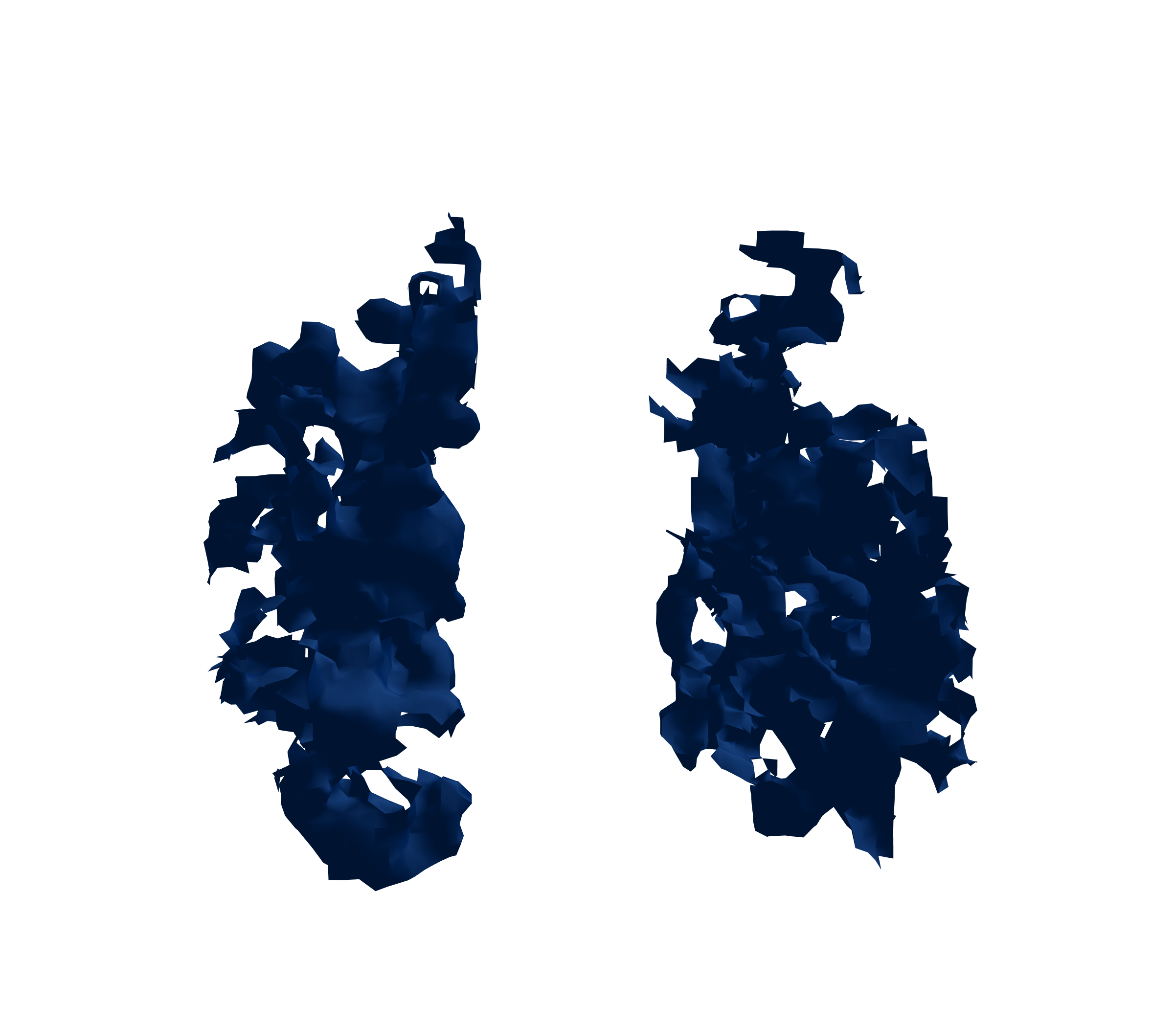 Surface Mesh (Inspiration) - Front View