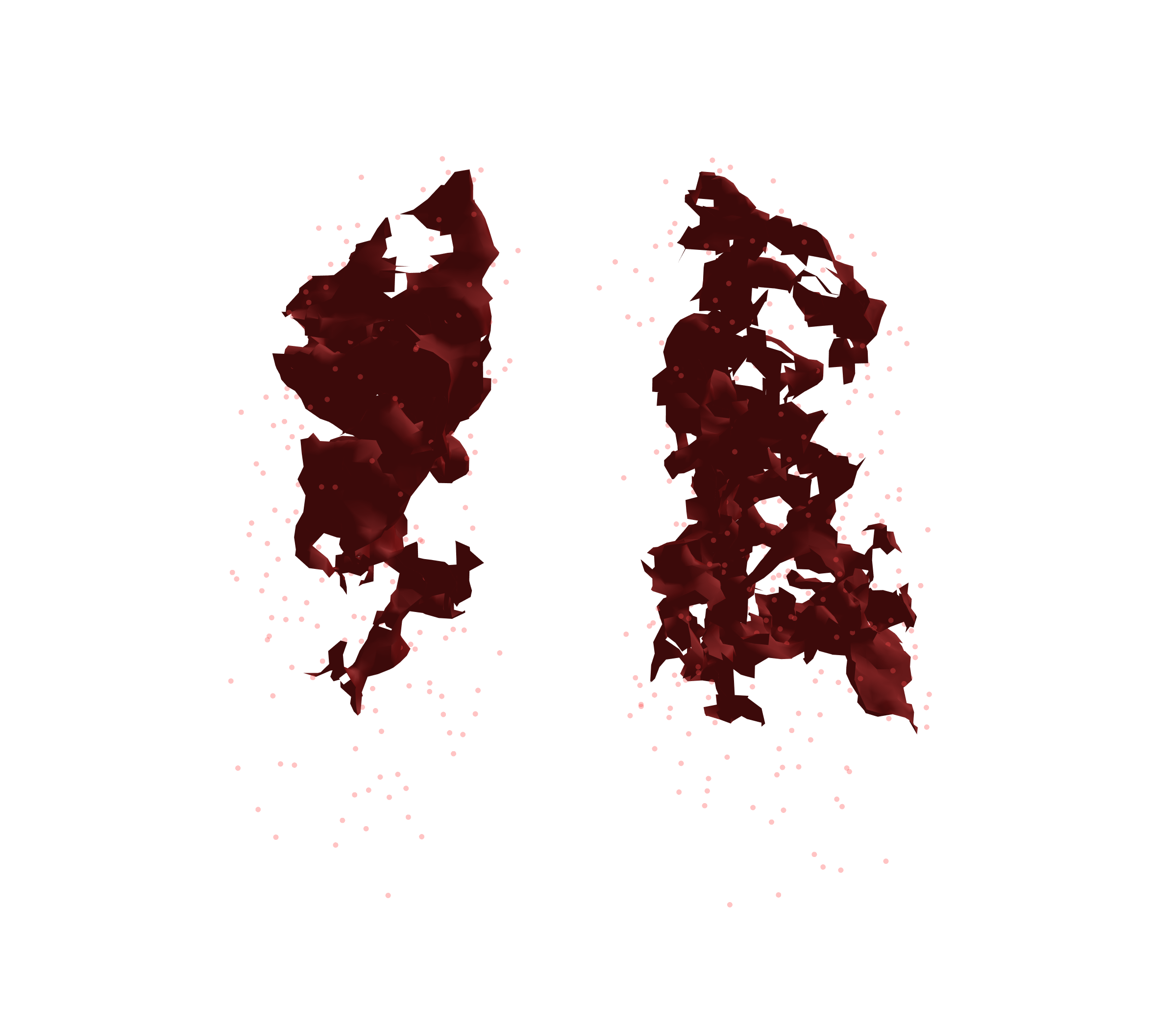 Combined Visualization (Expiration) - Front View