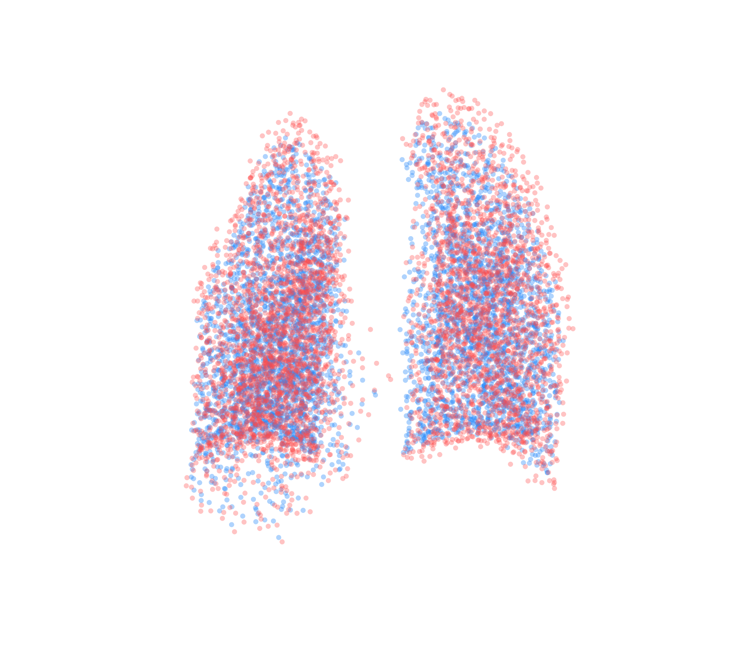 Point Cloud - Back View