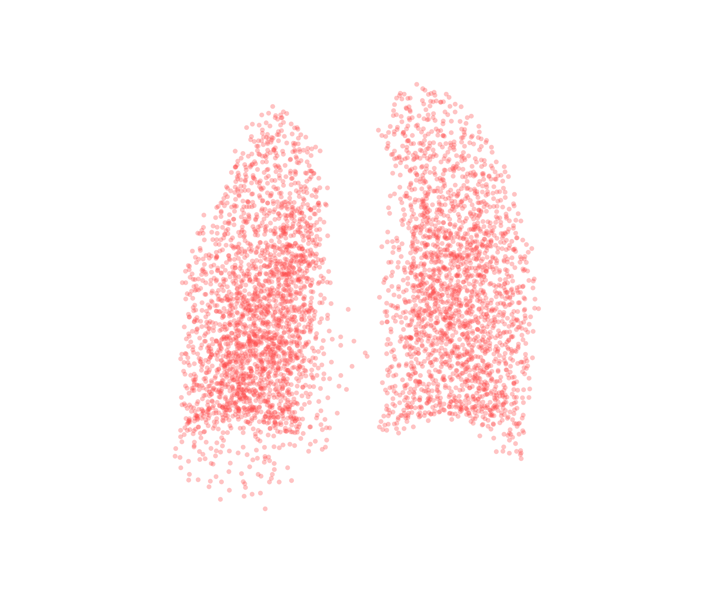 Point Cloud (Expiration) - Back View