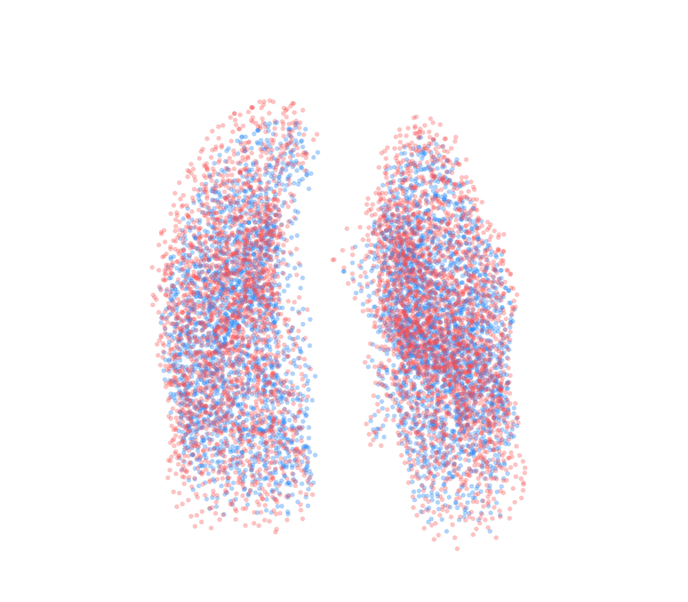 Point Cloud - Front View