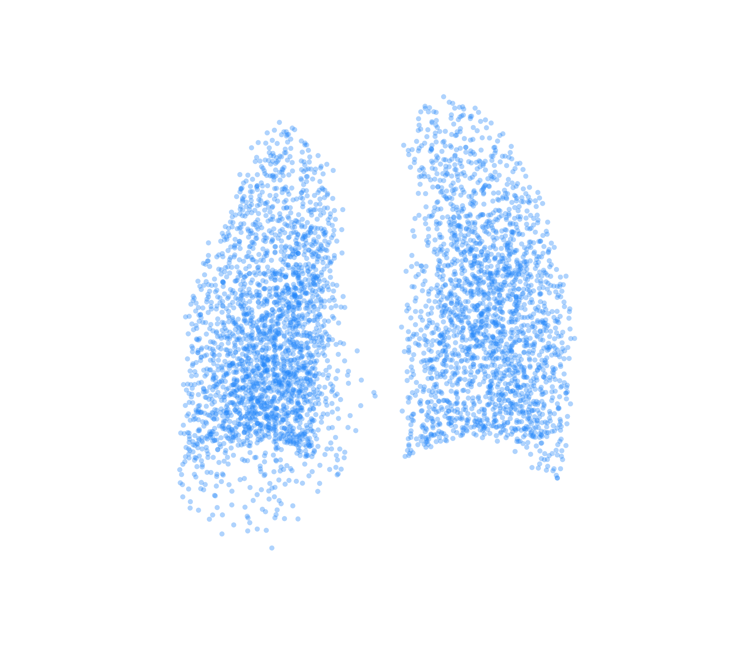 Point Cloud (Inspiration) - Back View