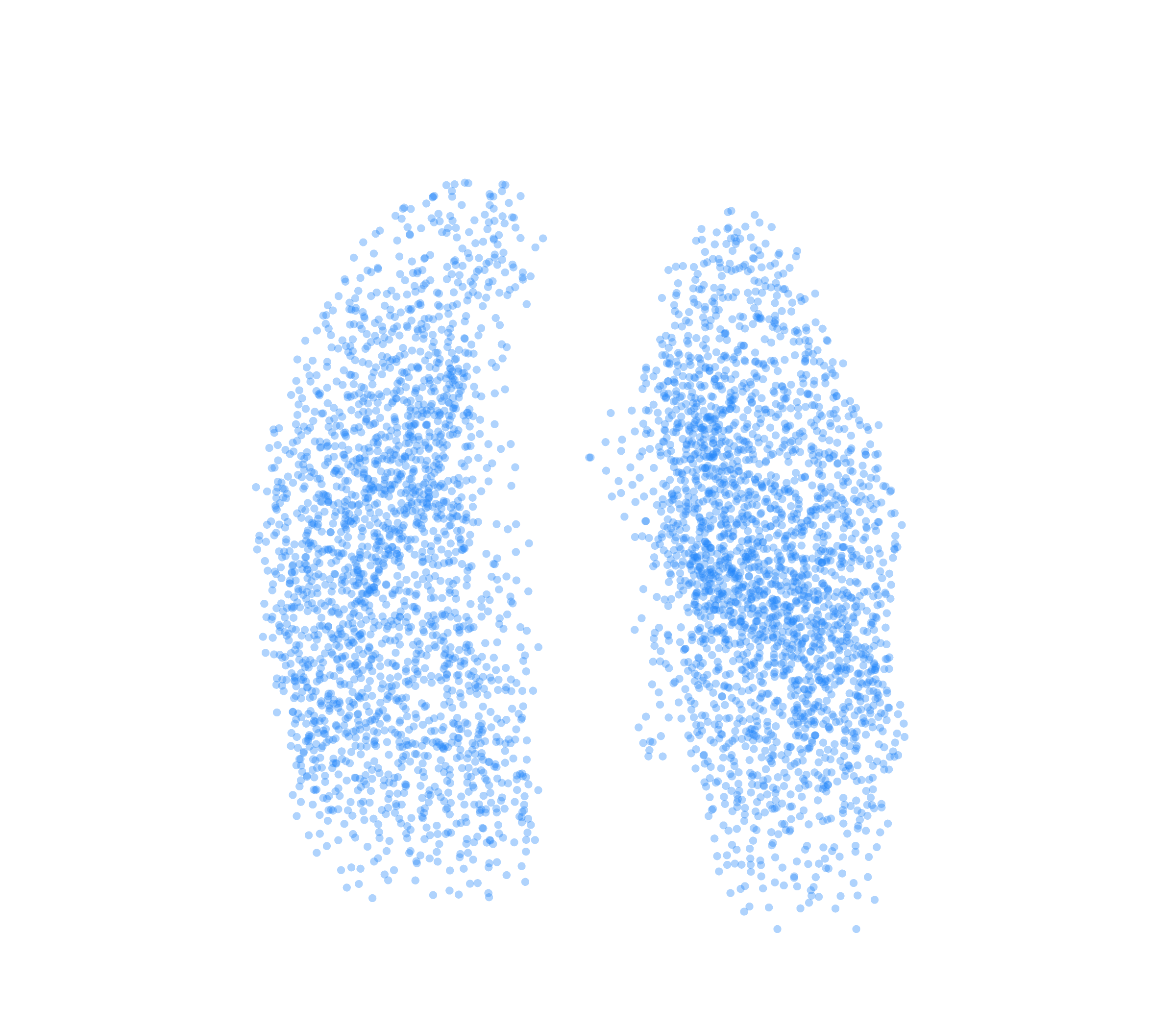Point Cloud (Inspiration) - Front View