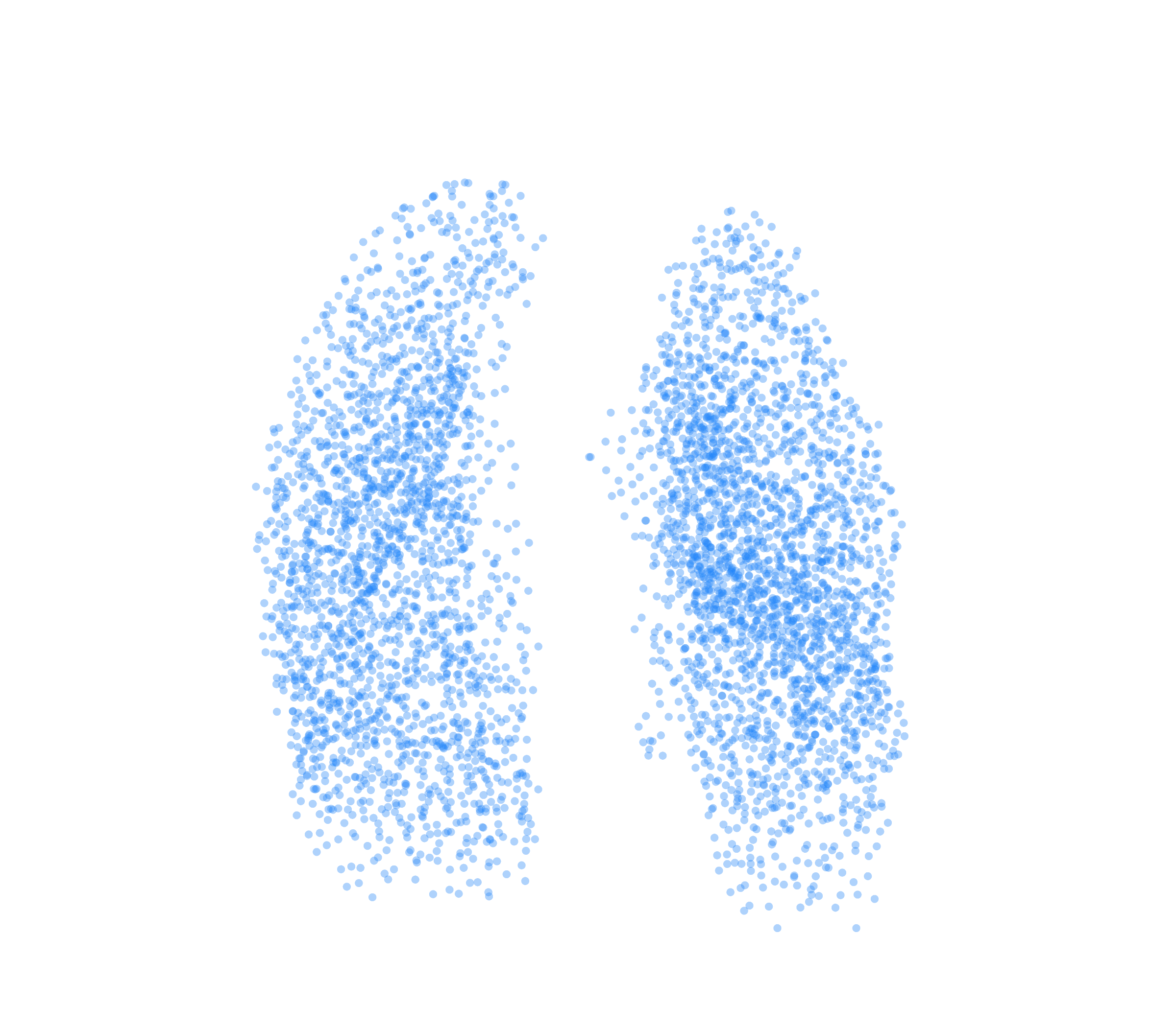 Point Cloud (Inspiration) - Front View