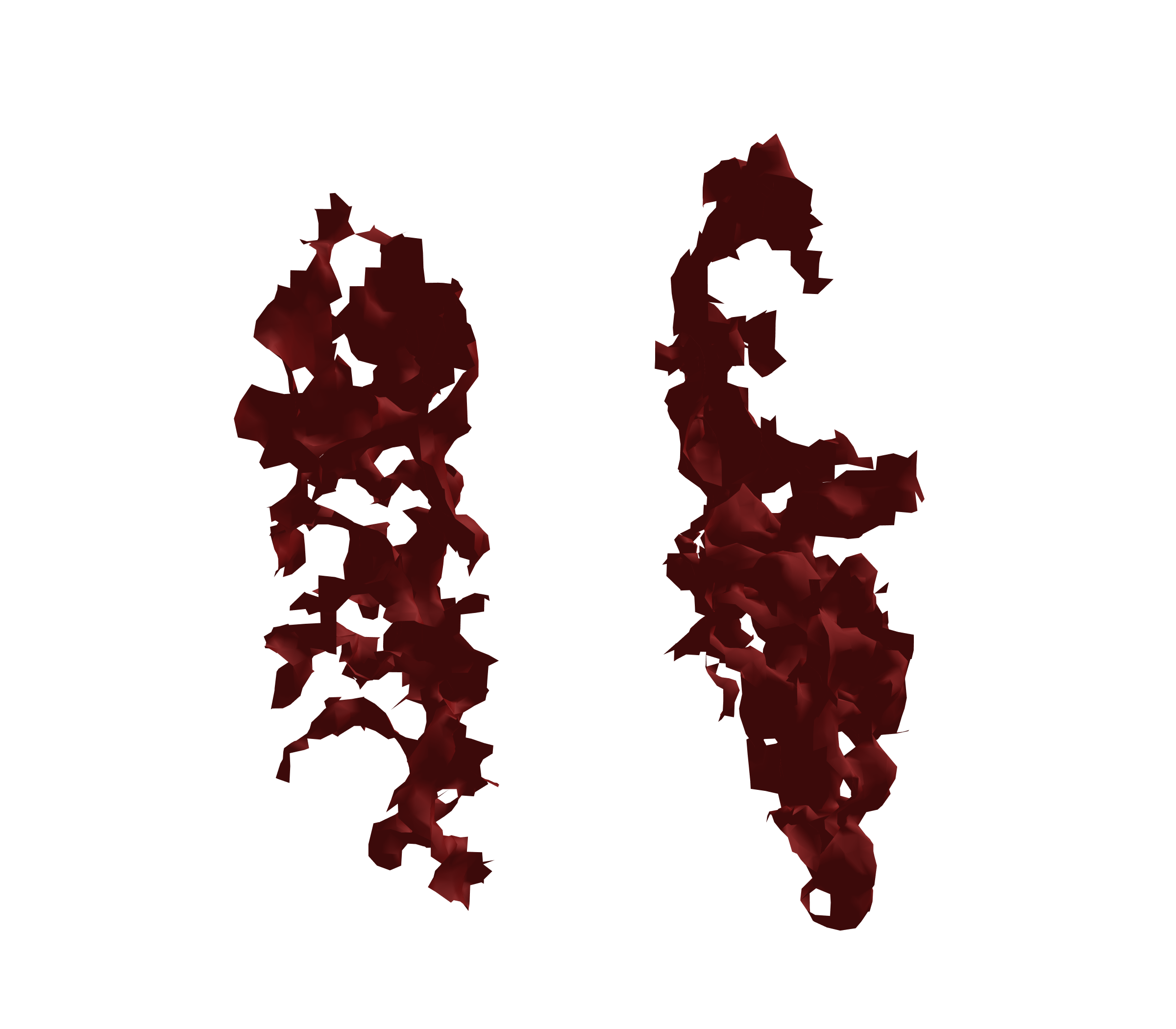 Surface Mesh (Expiration) - Front View