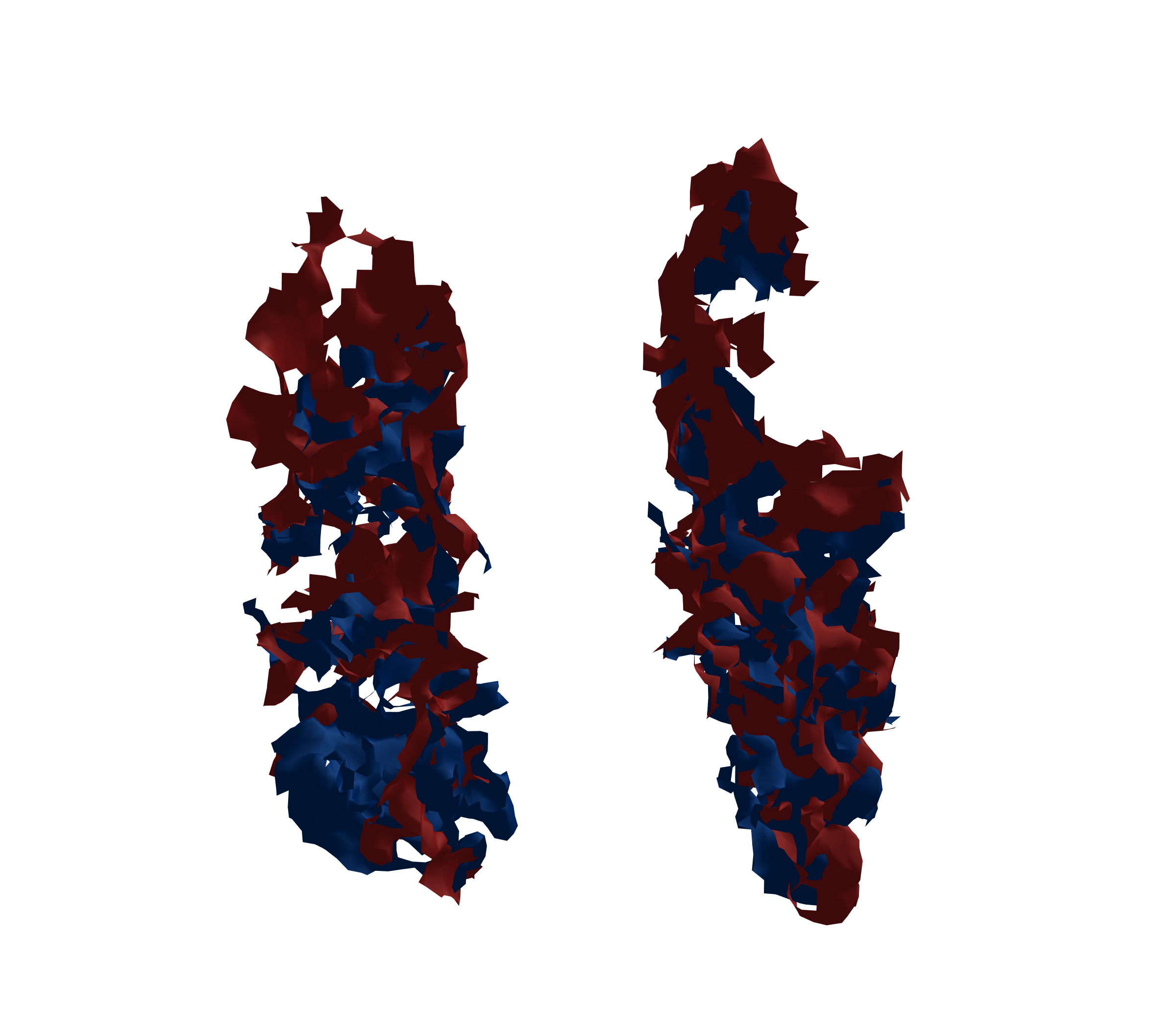 Surface Mesh - Front View