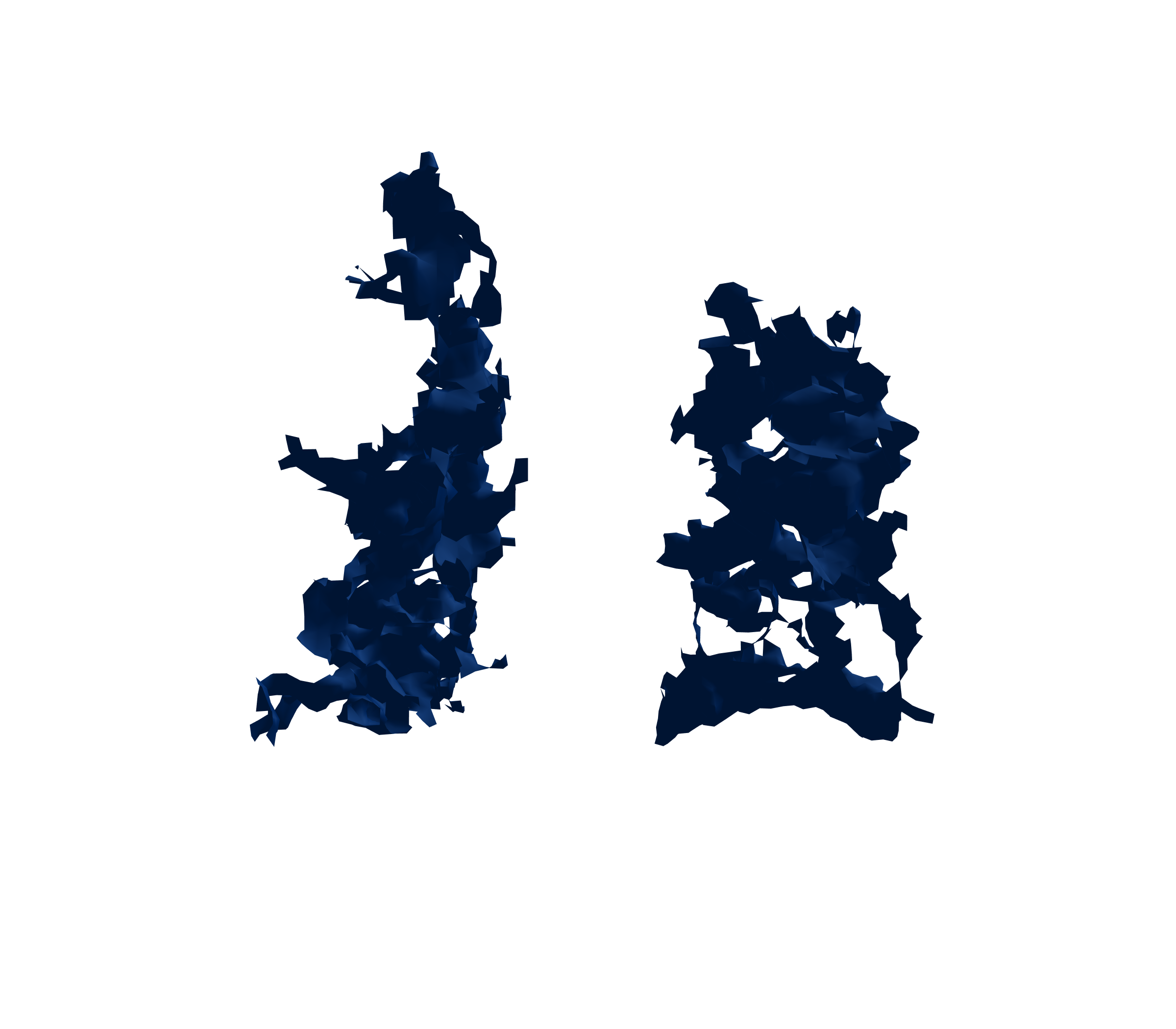 Surface Mesh (Inspiration) - Back View