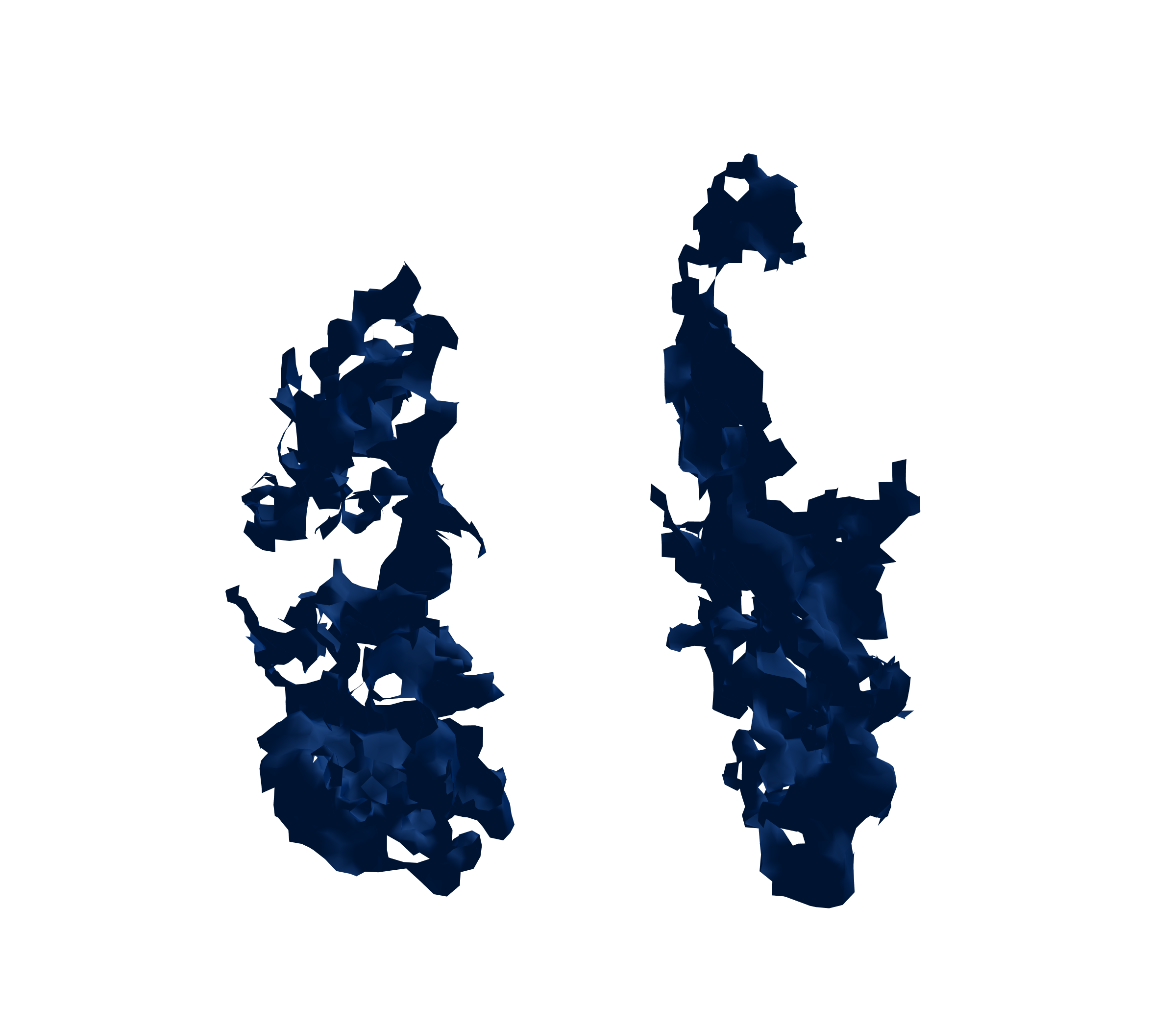 Surface Mesh (Inspiration) - Front View