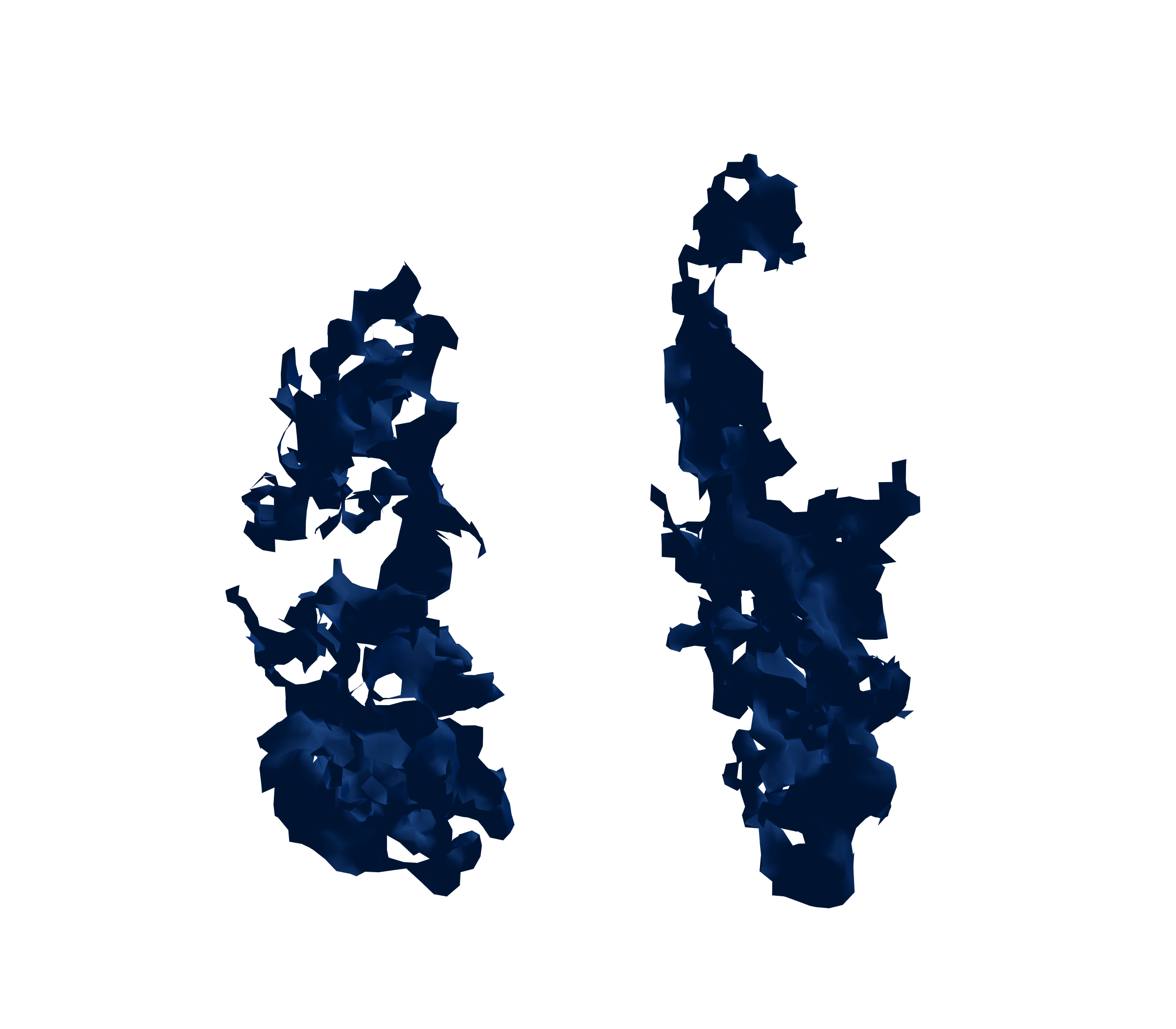 Surface Mesh (Inspiration) - Front View