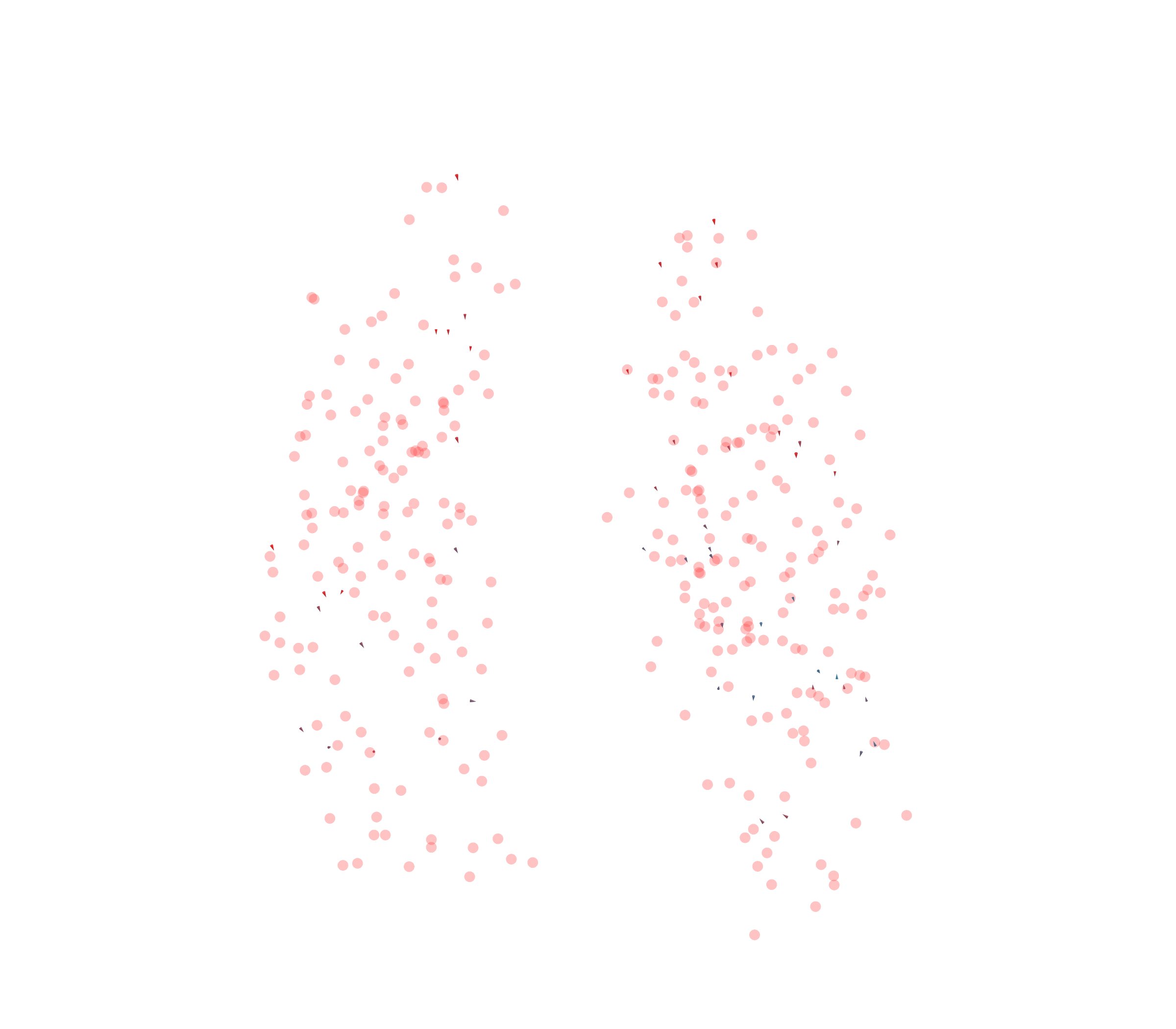 Displacement Vectors - Front View