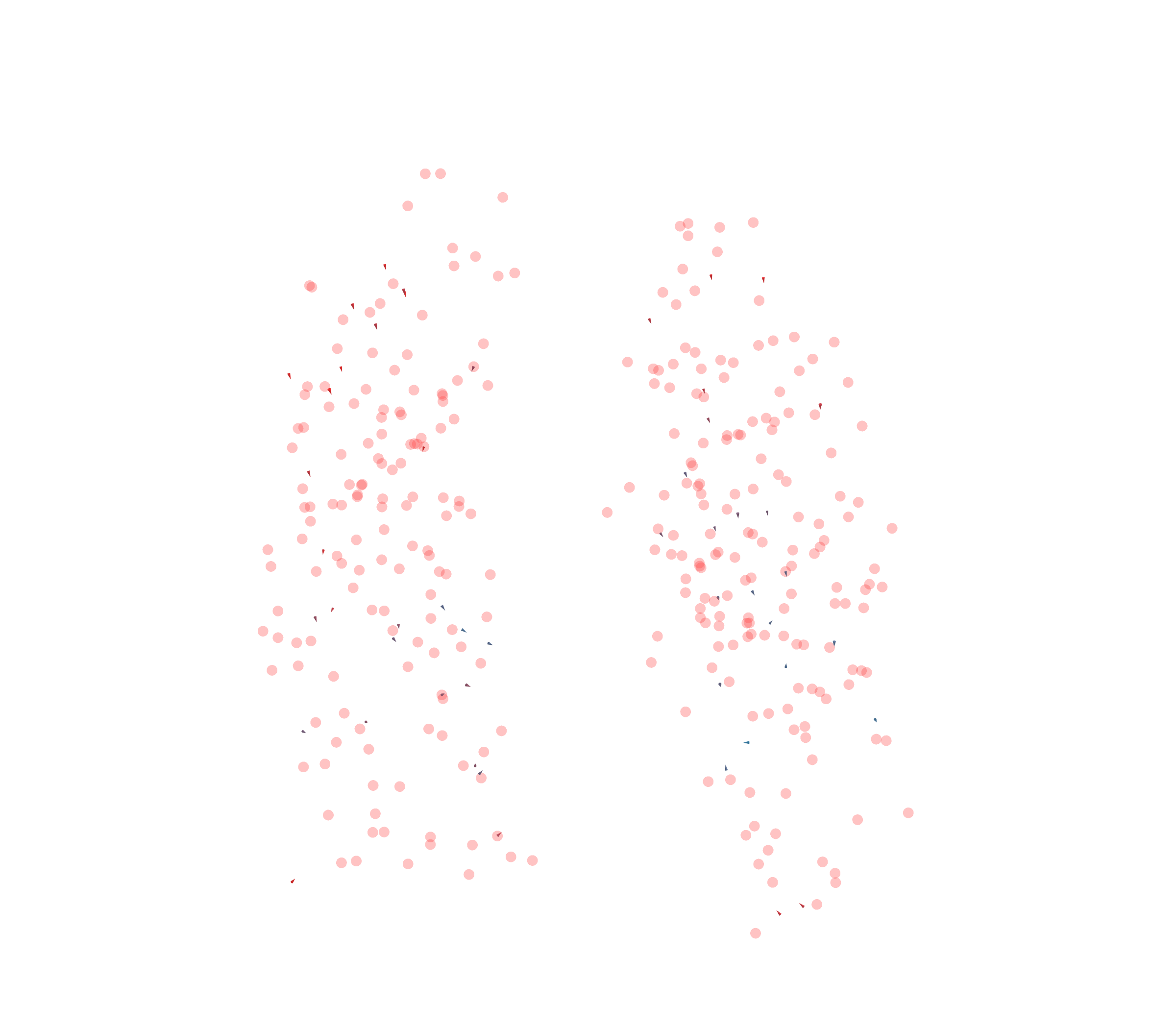 Displacement Vectors - Front View