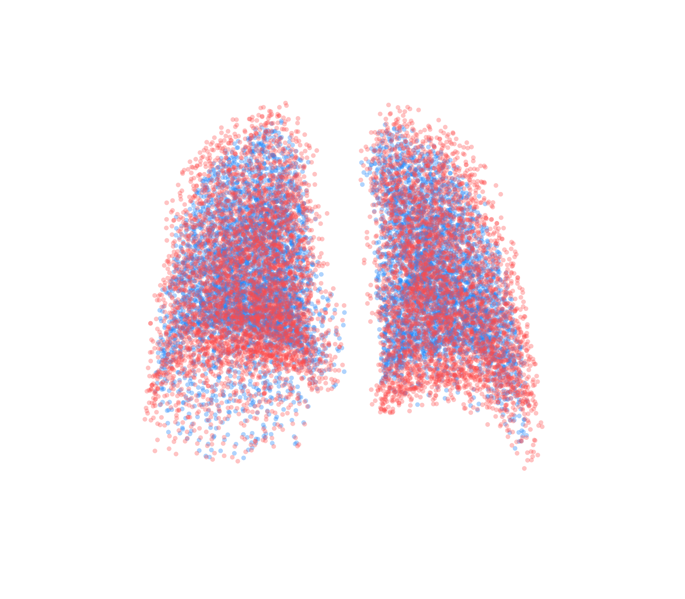 Point Cloud - Back View