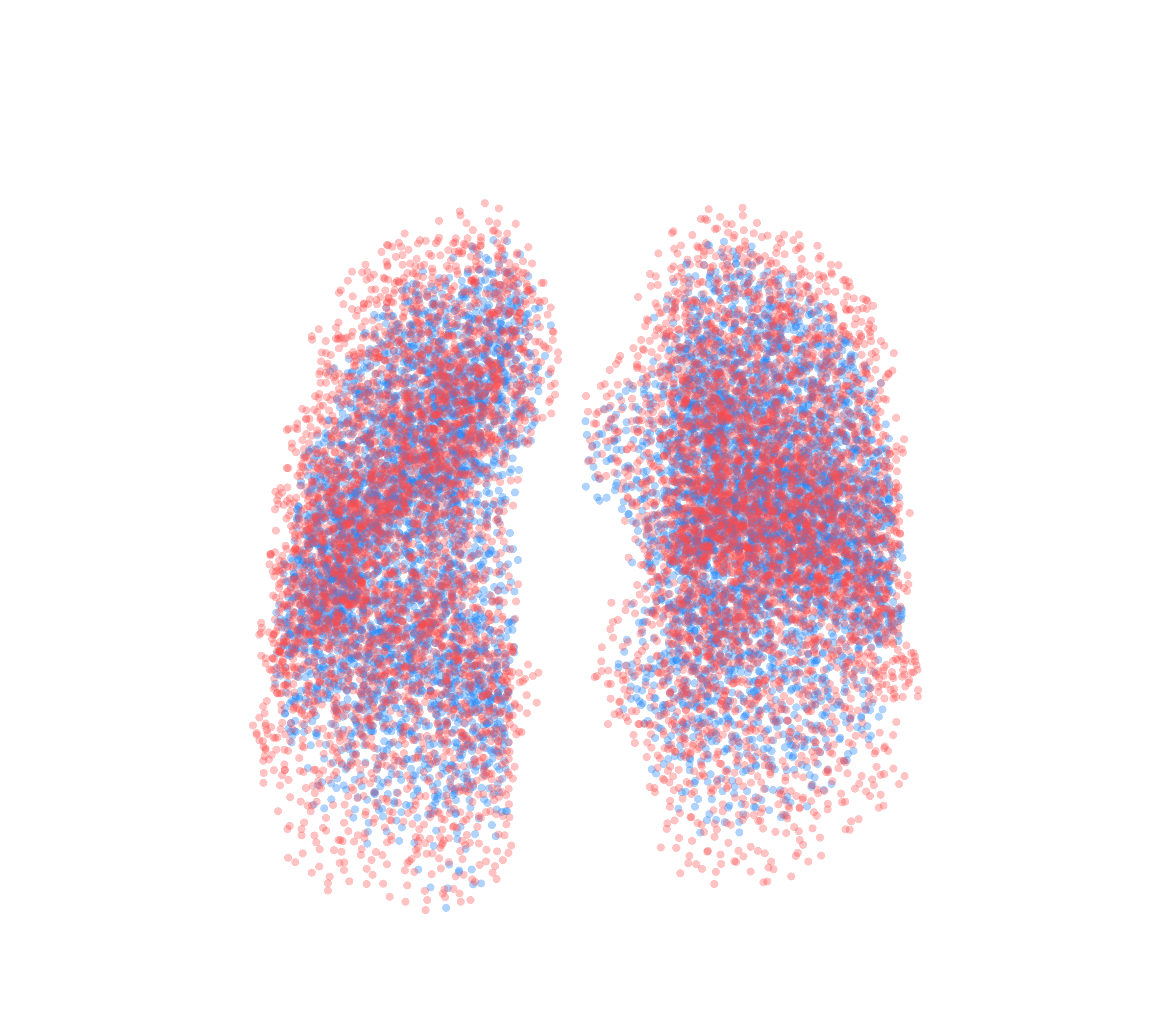 Point Cloud - Front View