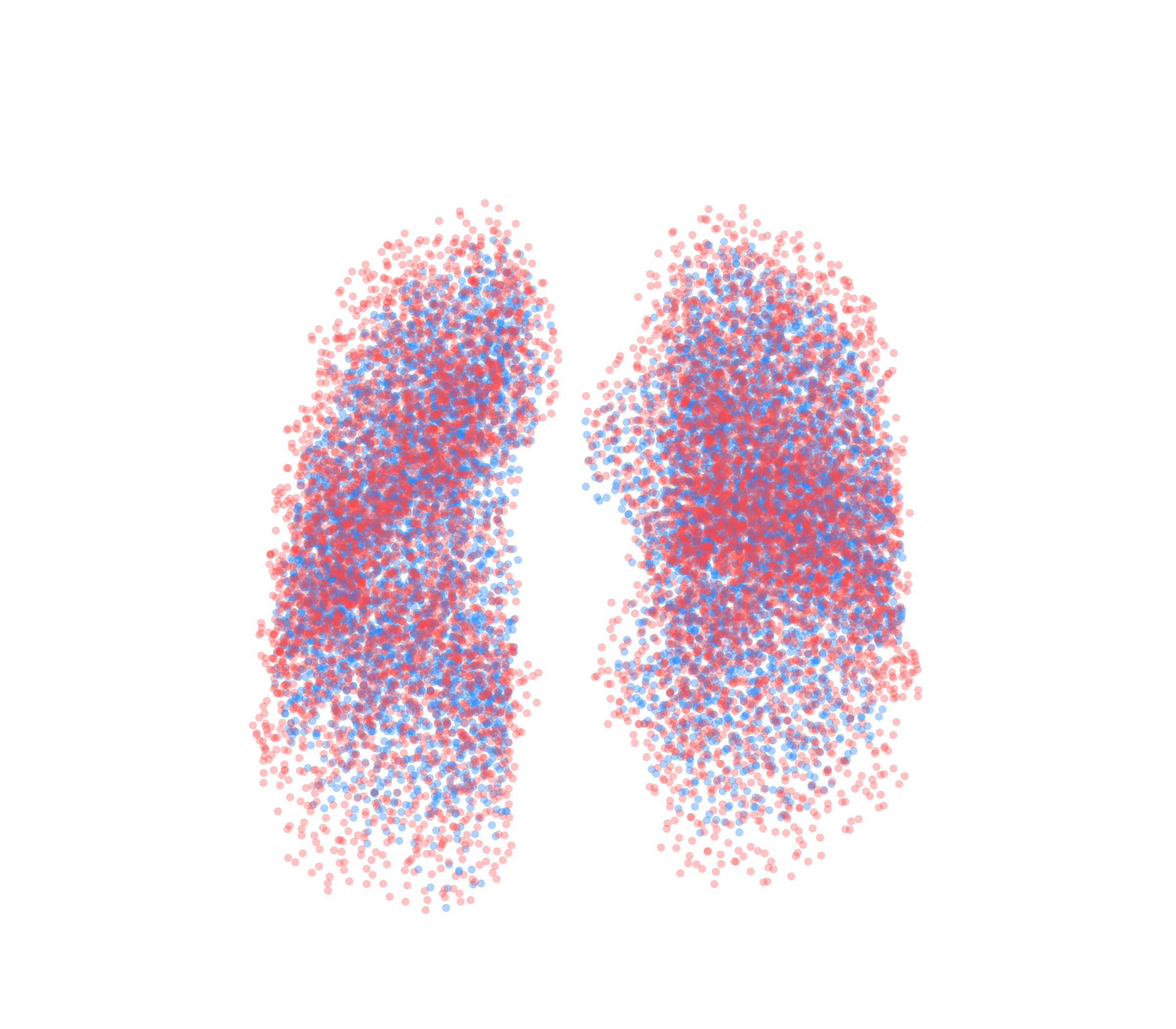 Point Cloud - Front View