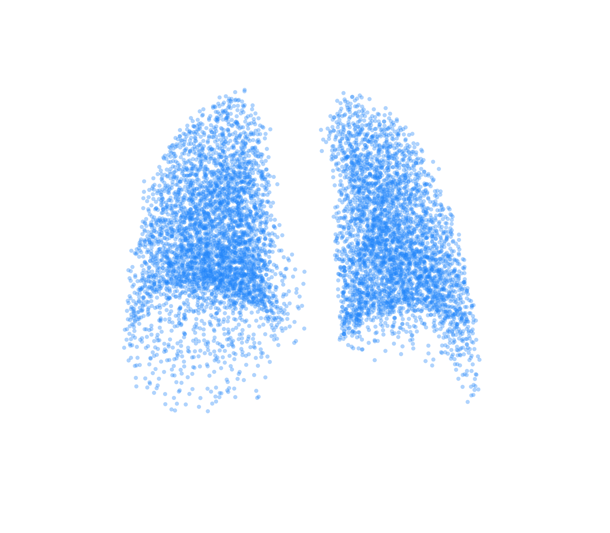 Point Cloud (Inspiration) - Back View