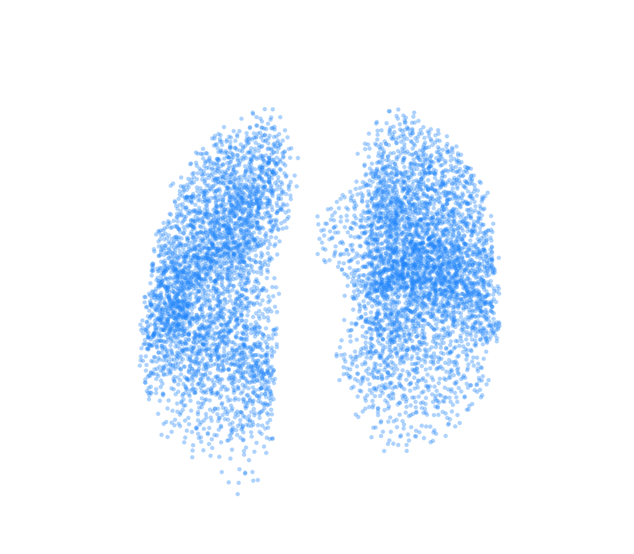 Point Cloud (Inspiration) - Front View