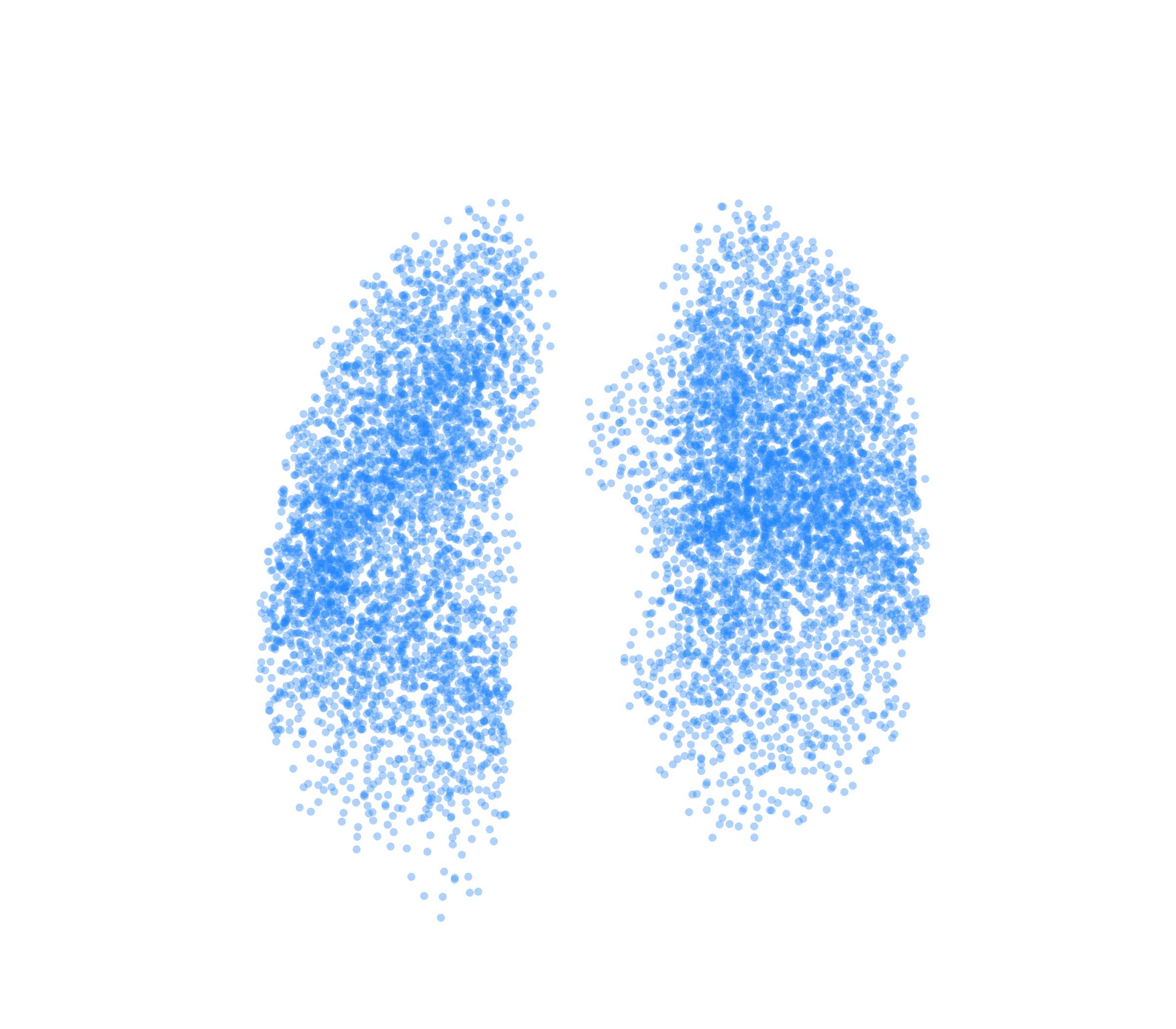Point Cloud (Inspiration) - Front View