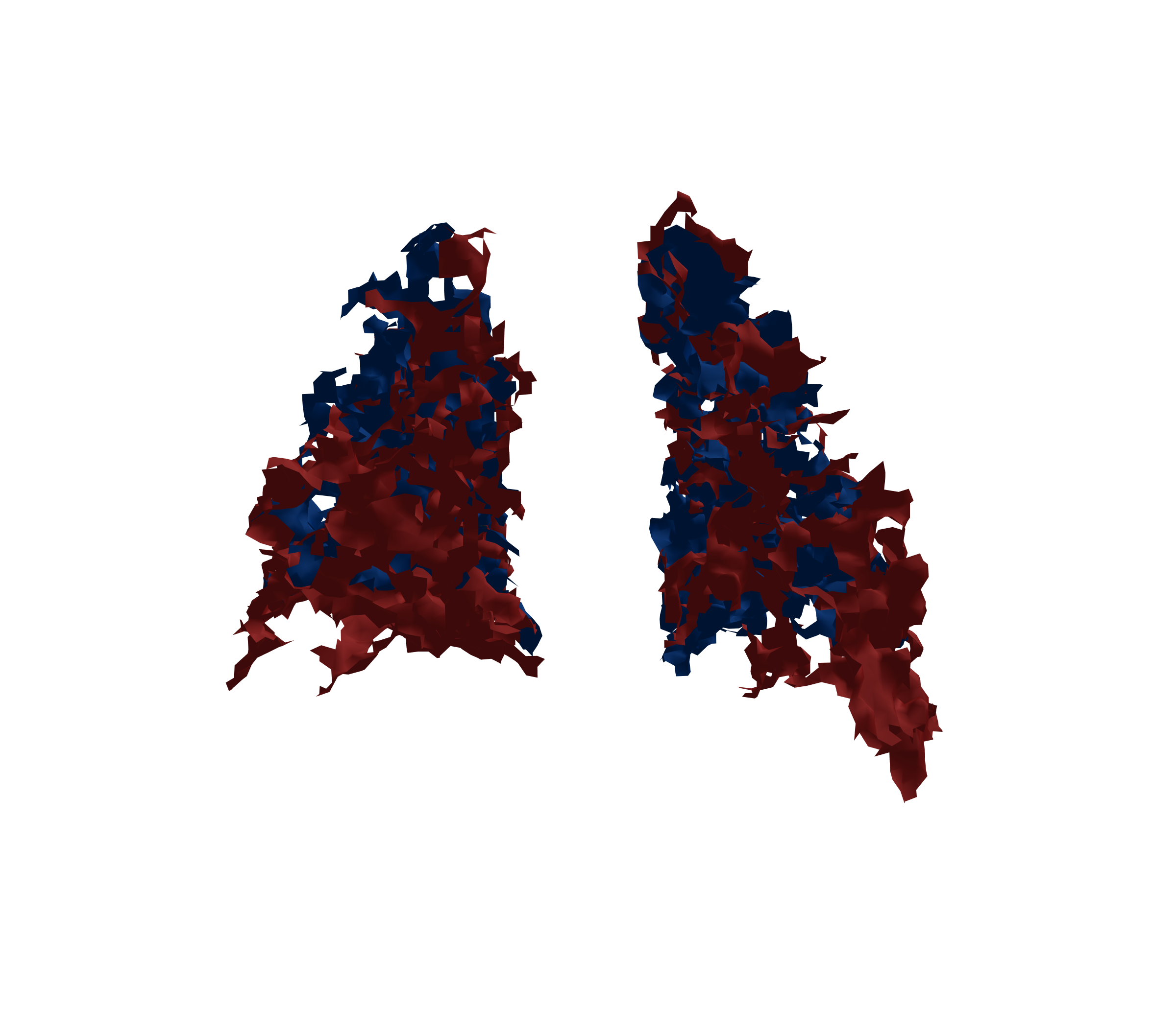 Surface Mesh - Back View