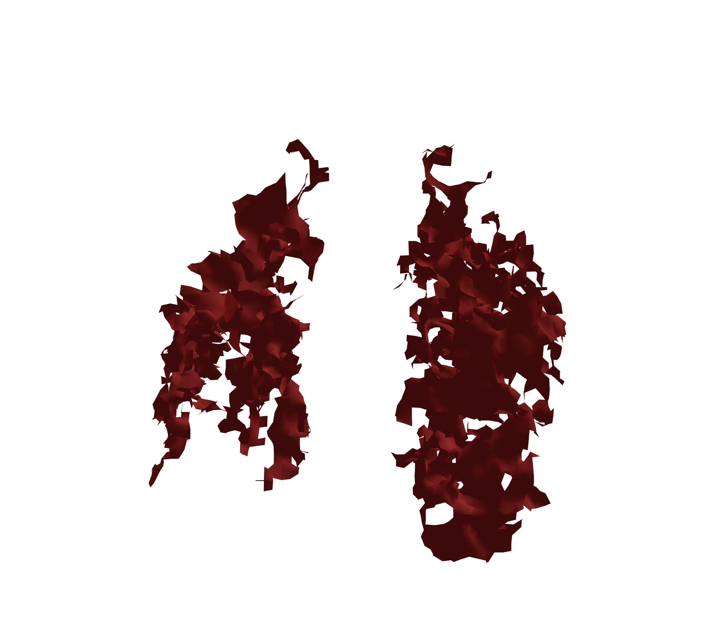 Surface Mesh (Expiration) - Front View