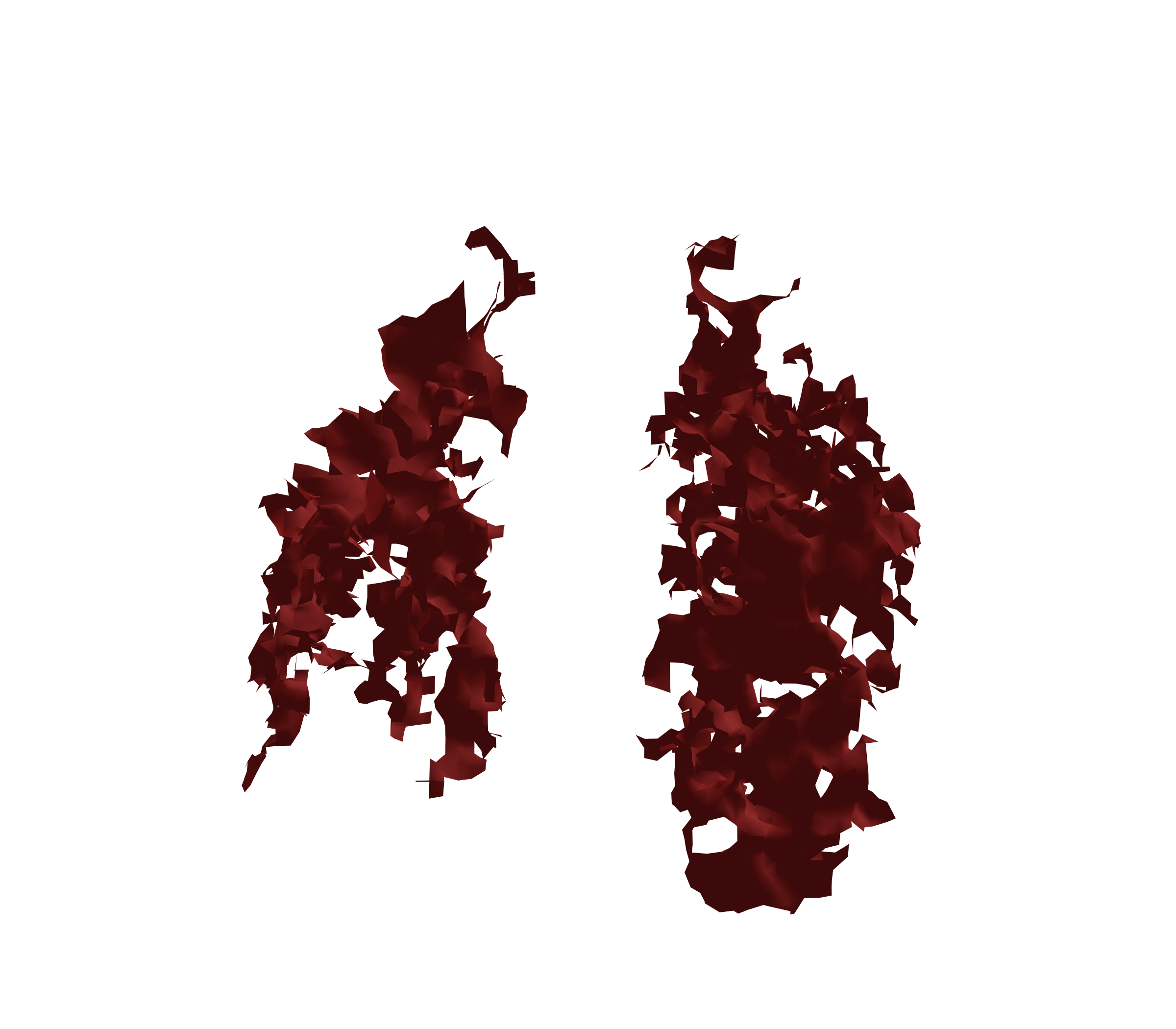 Surface Mesh (Expiration) - Front View