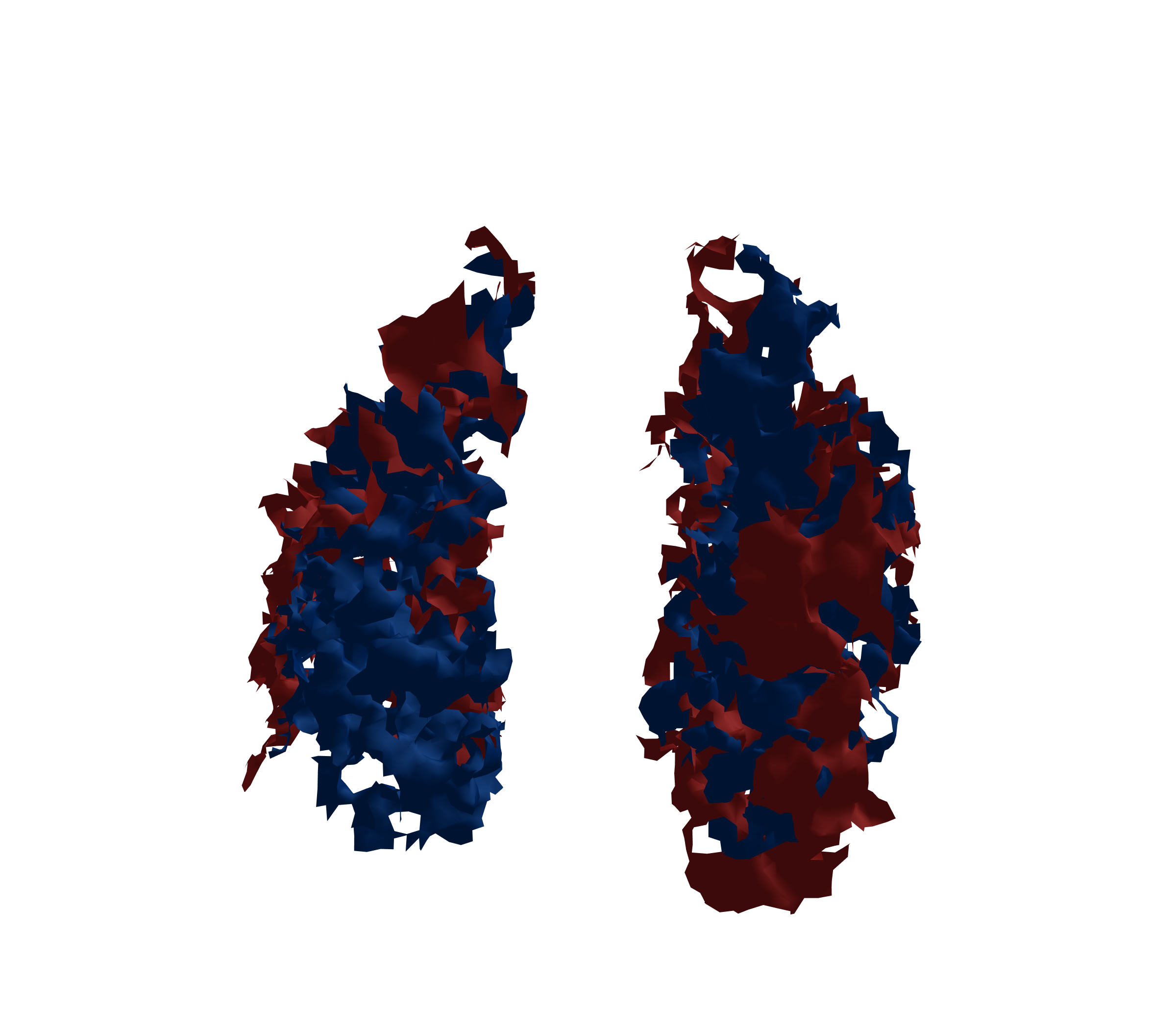 Surface Mesh - Front View