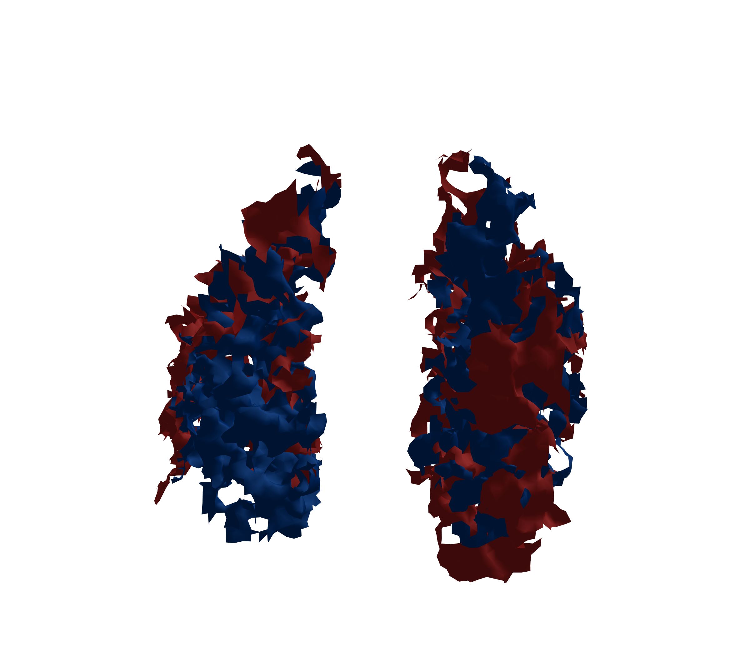 Surface Mesh - Front View