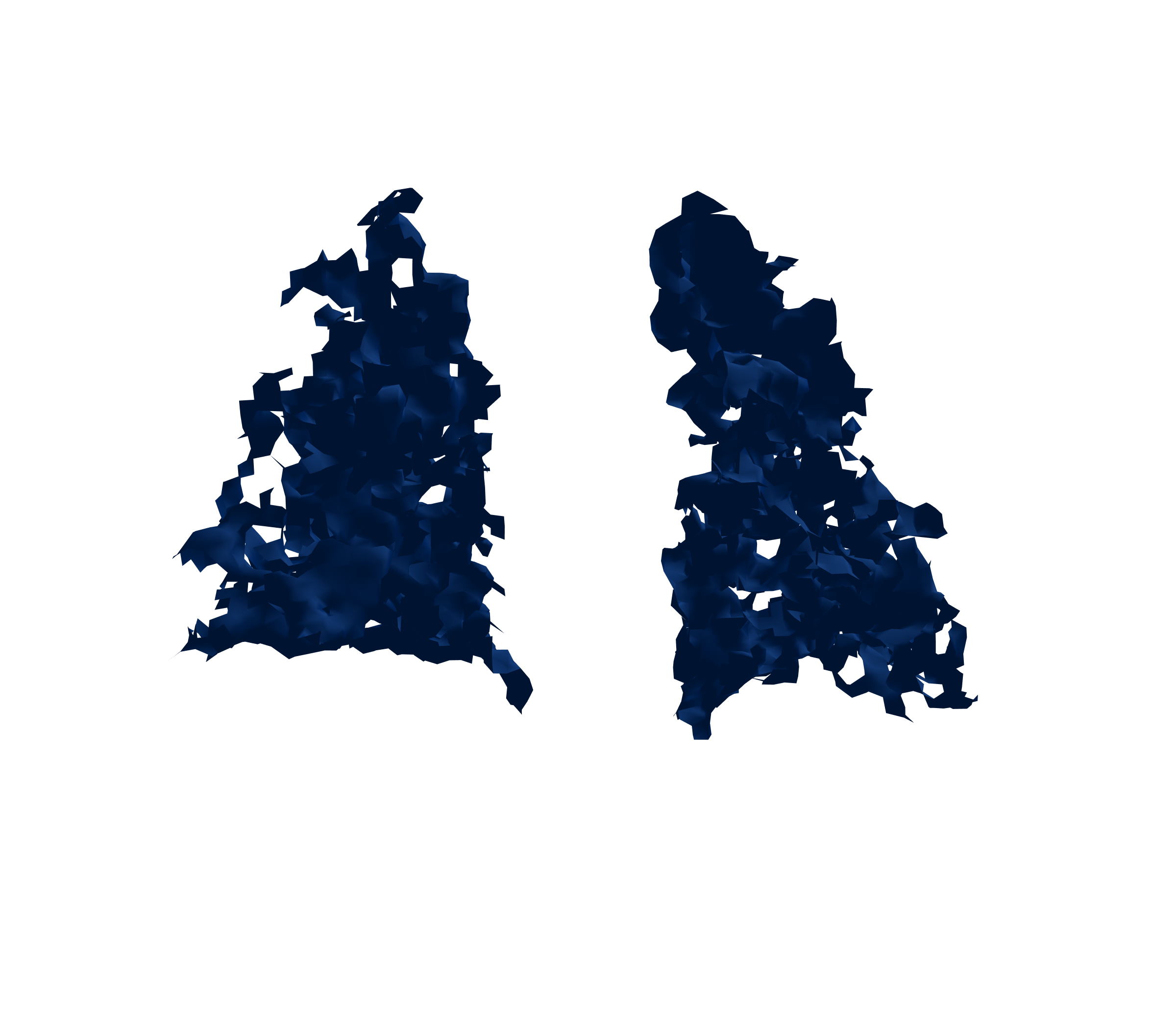 Surface Mesh (Inspiration) - Back View