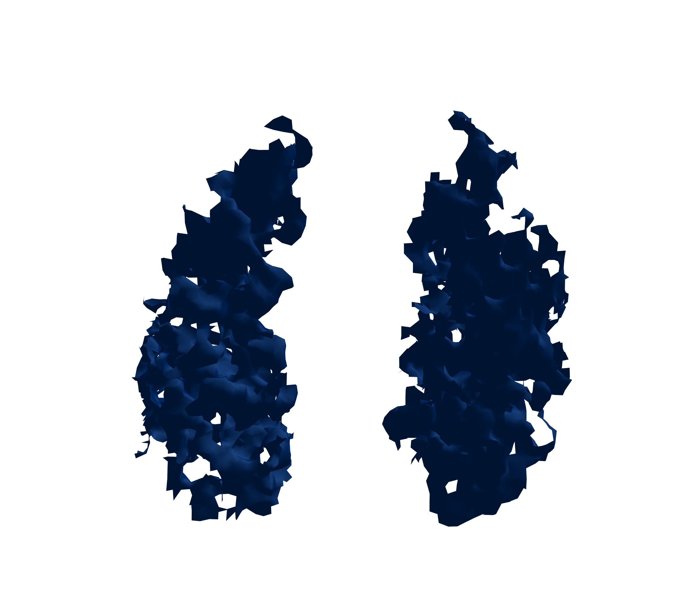 Surface Mesh (Inspiration) - Front View