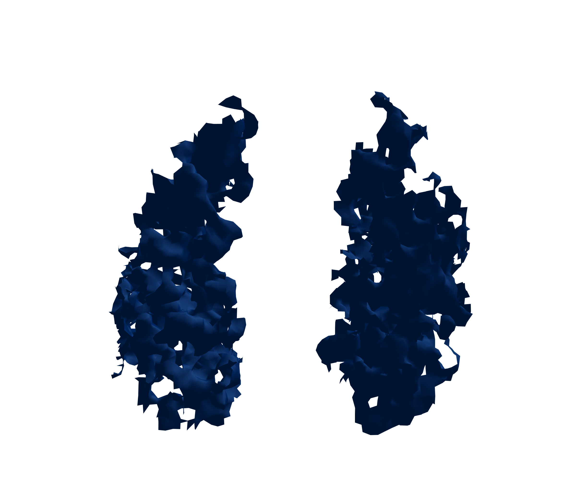 Surface Mesh (Inspiration) - Front View