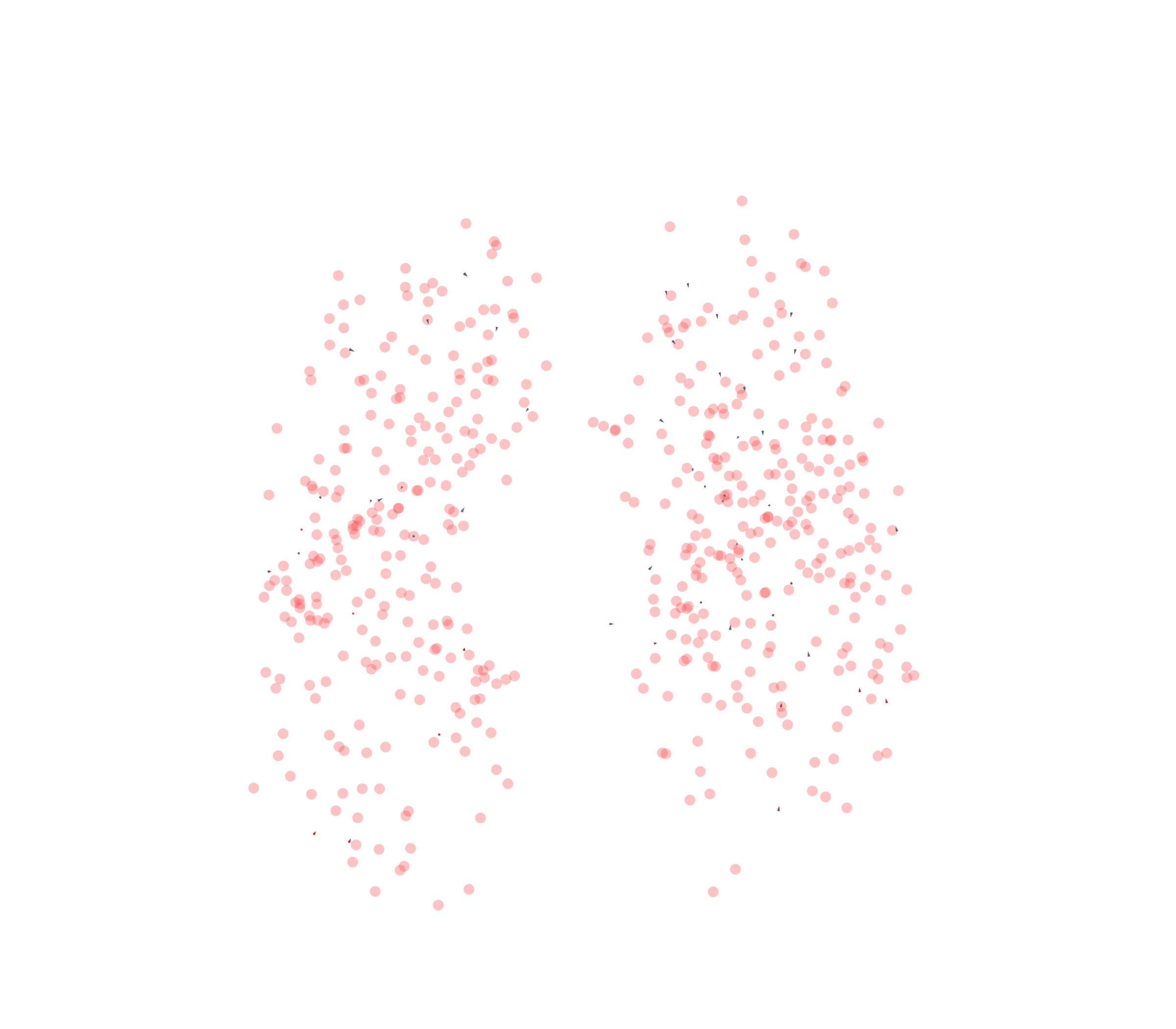 Displacement Vectors - Front View