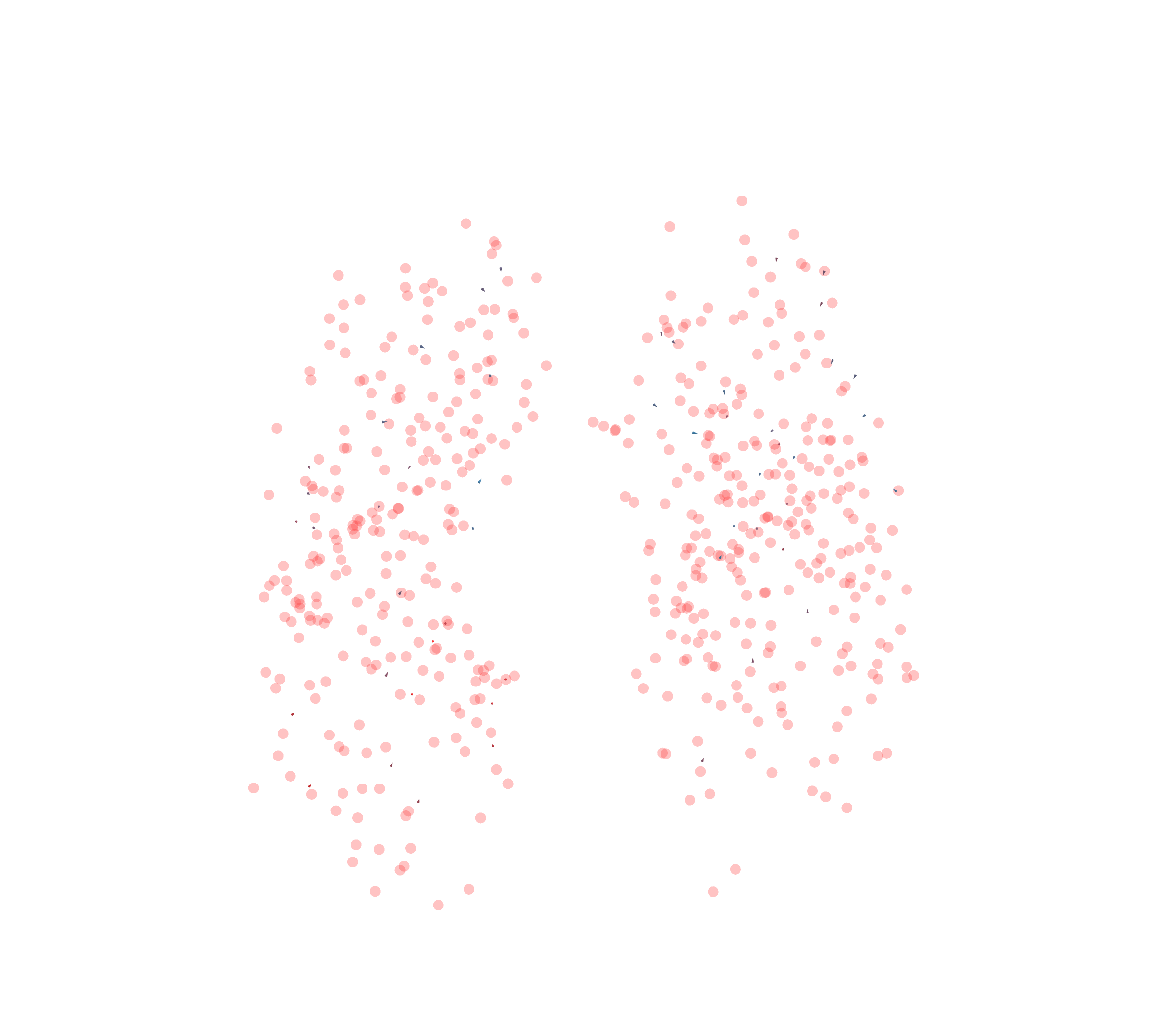 Displacement Vectors - Front View