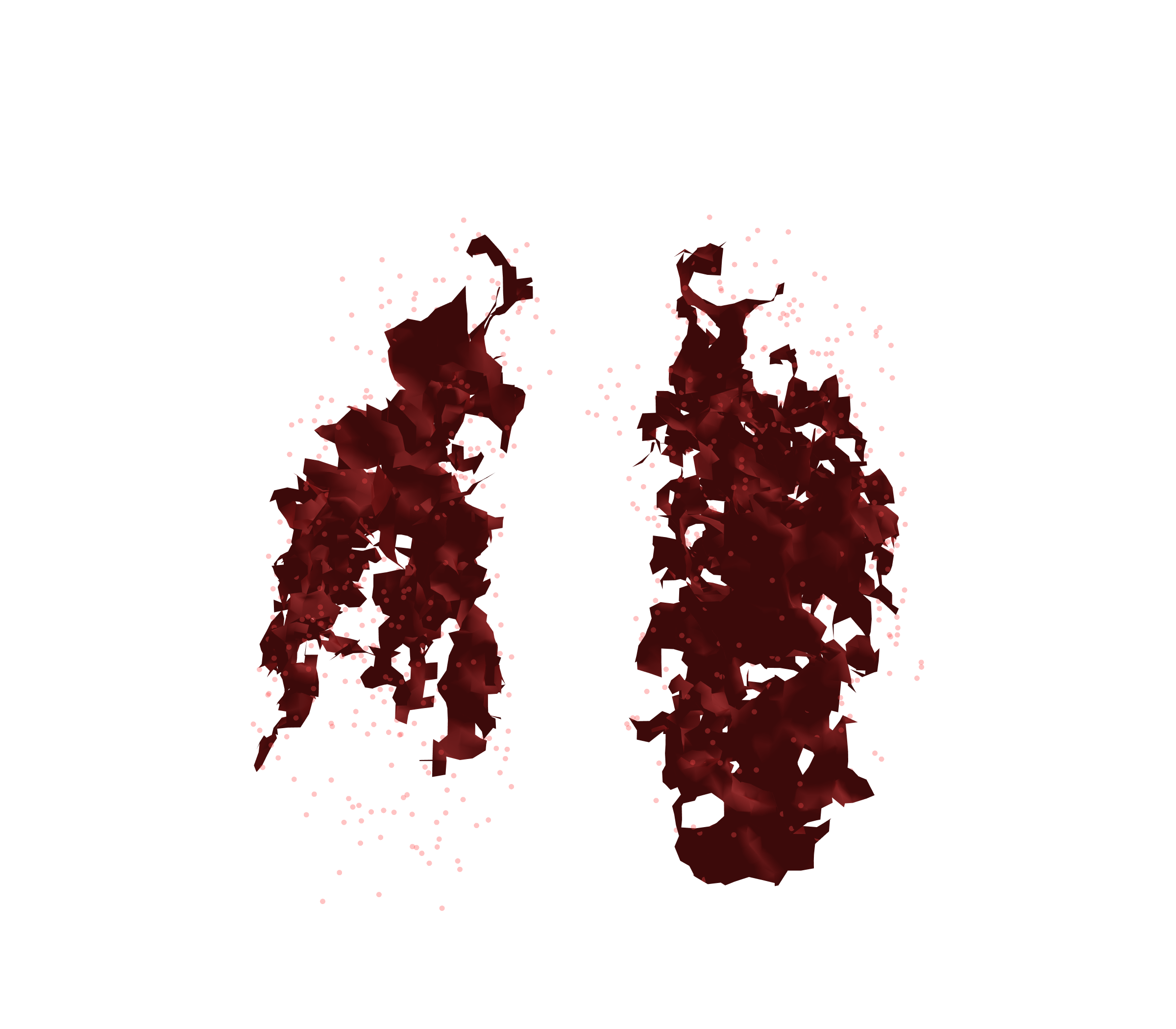 Combined Visualization (Expiration) - Front View